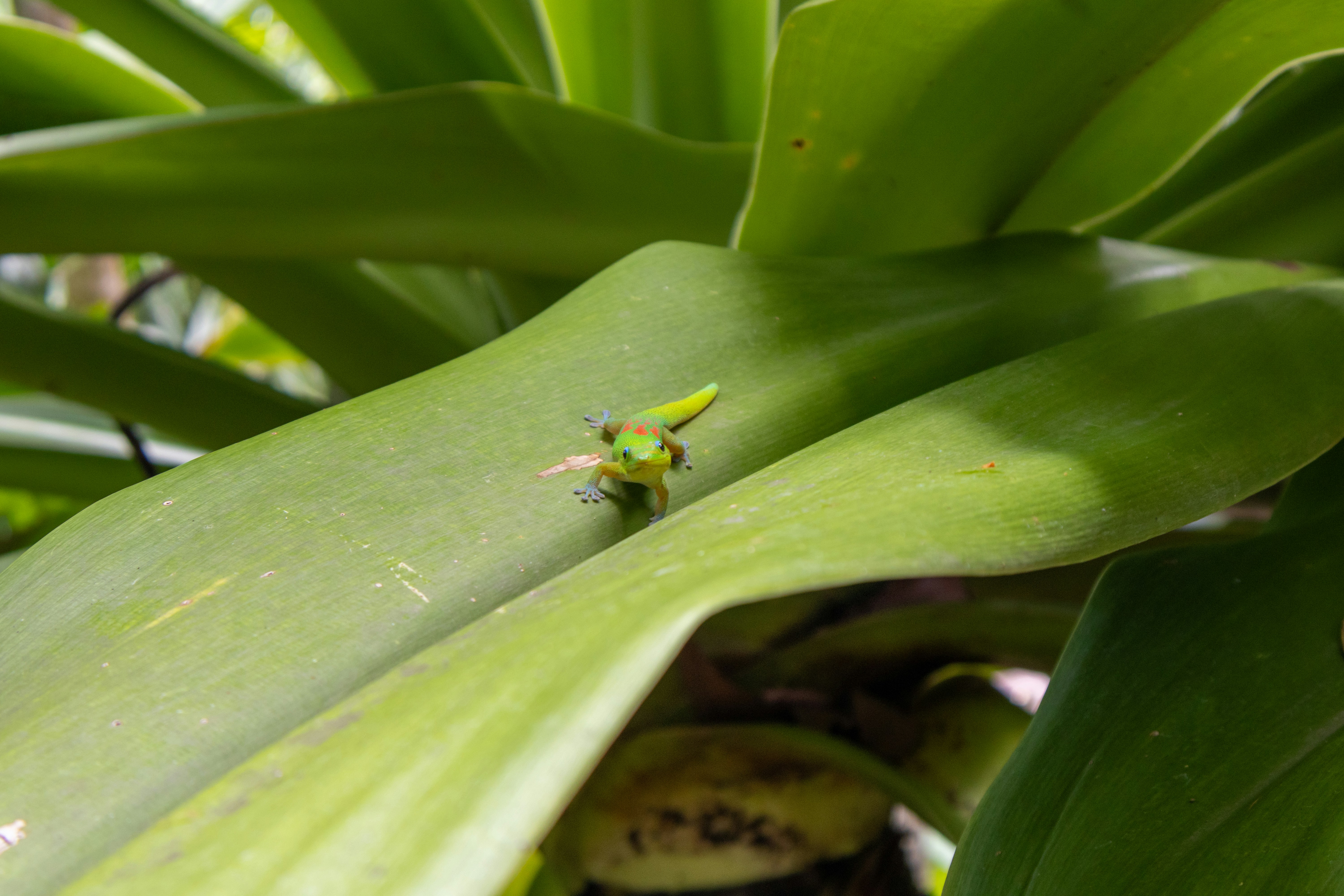 Photo by neugebauerdev