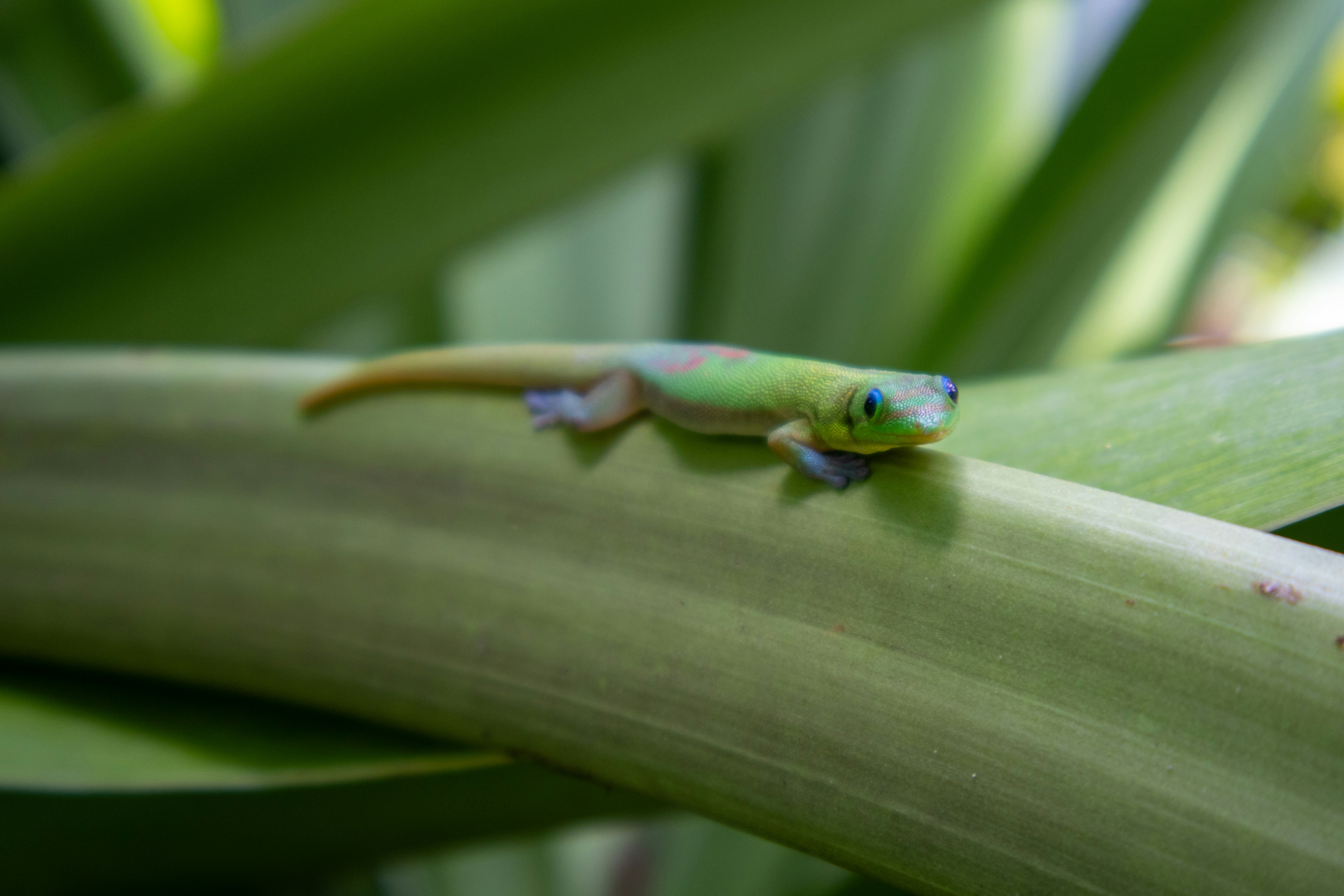 Photo by neugebauerdev