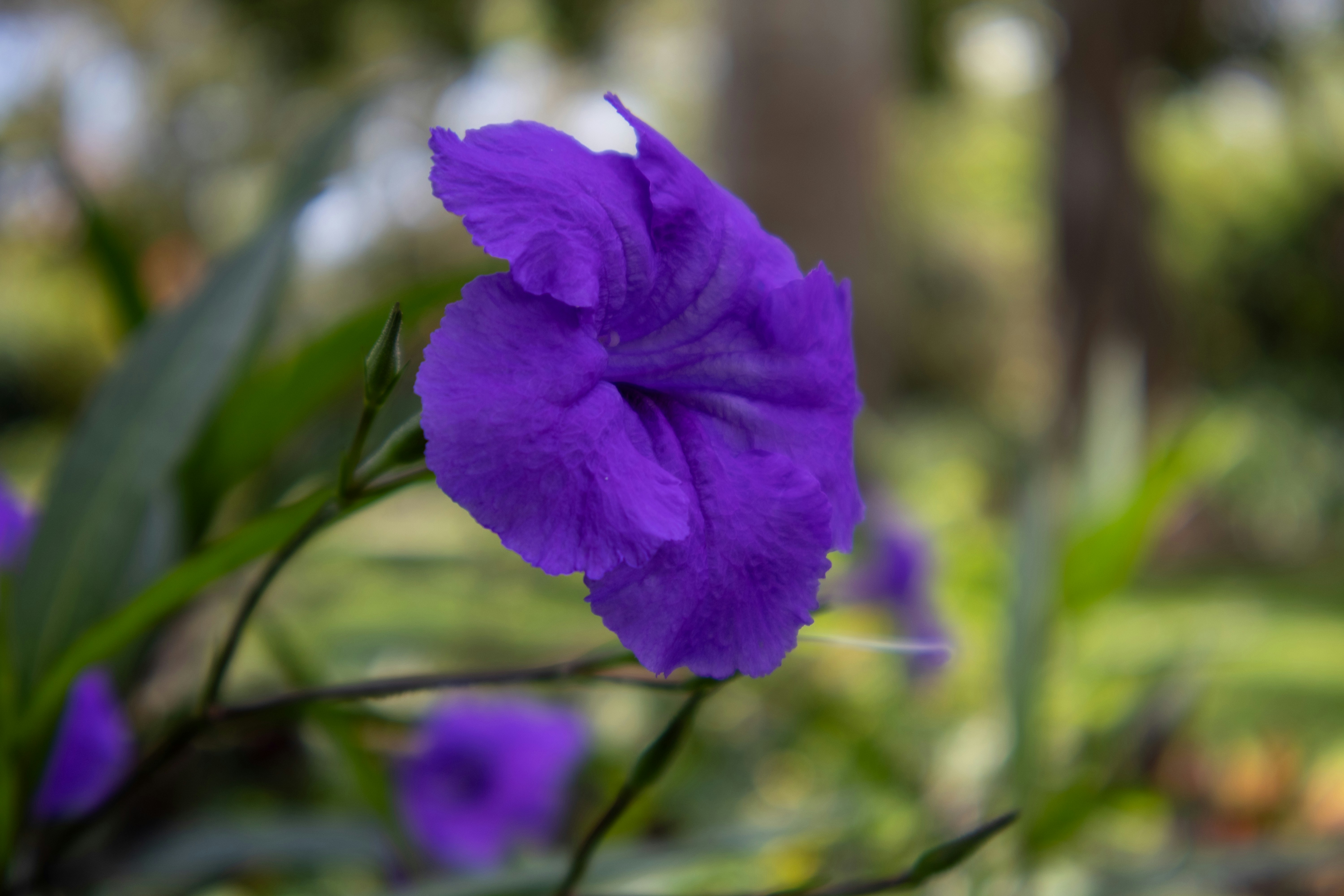 Photo by neugebauerdev