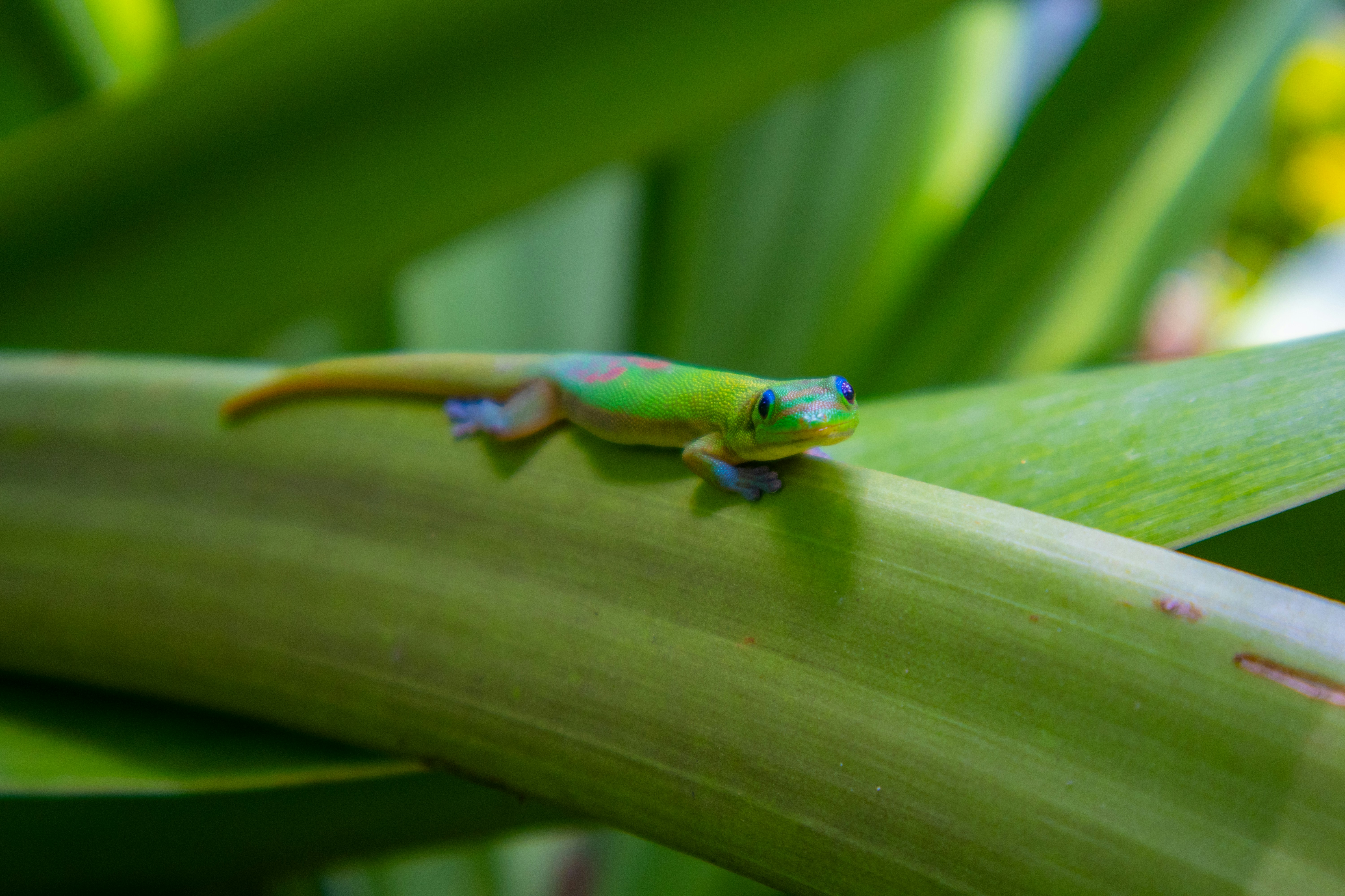 Photo by neugebauerdev