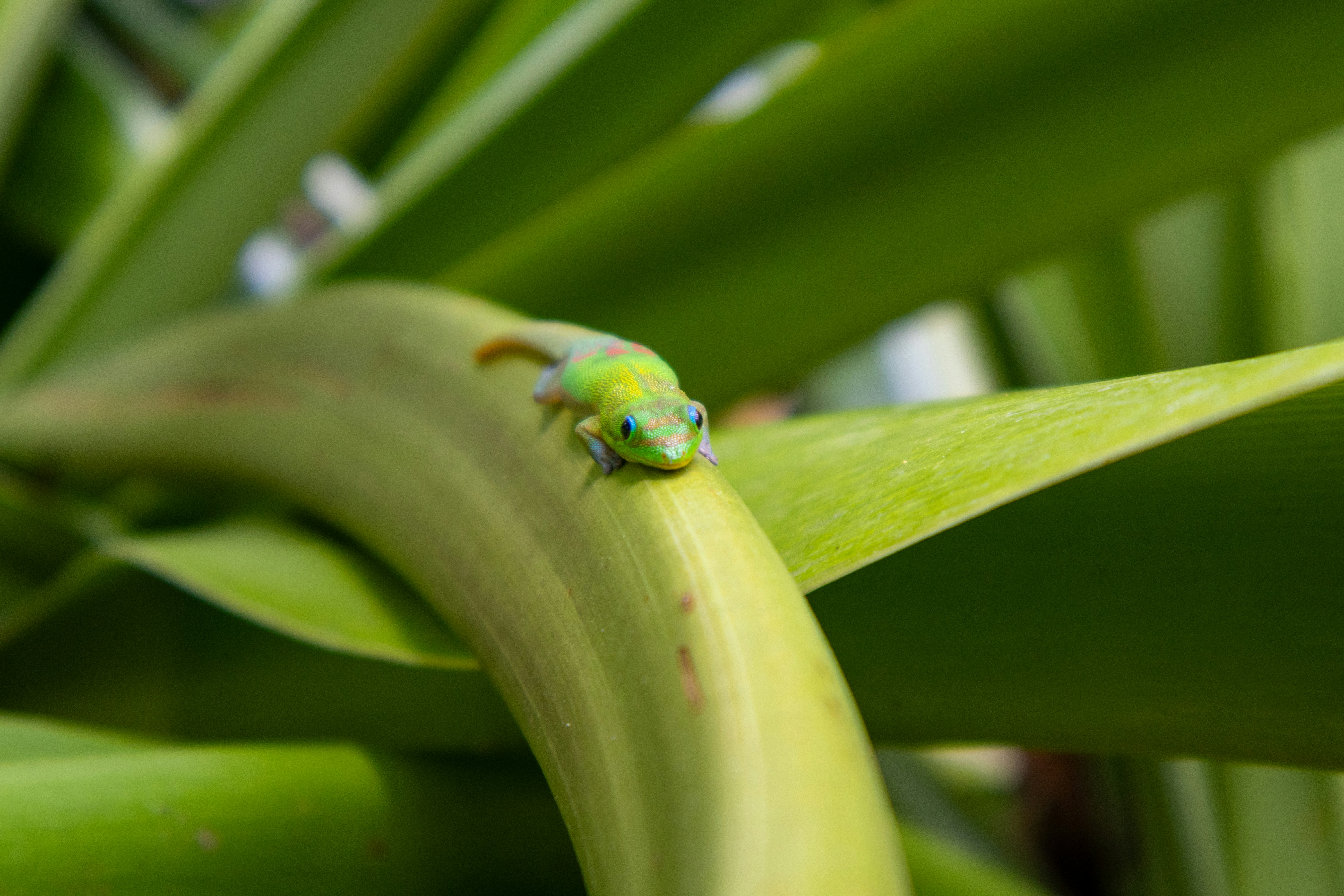 Photo by neugebauerdev