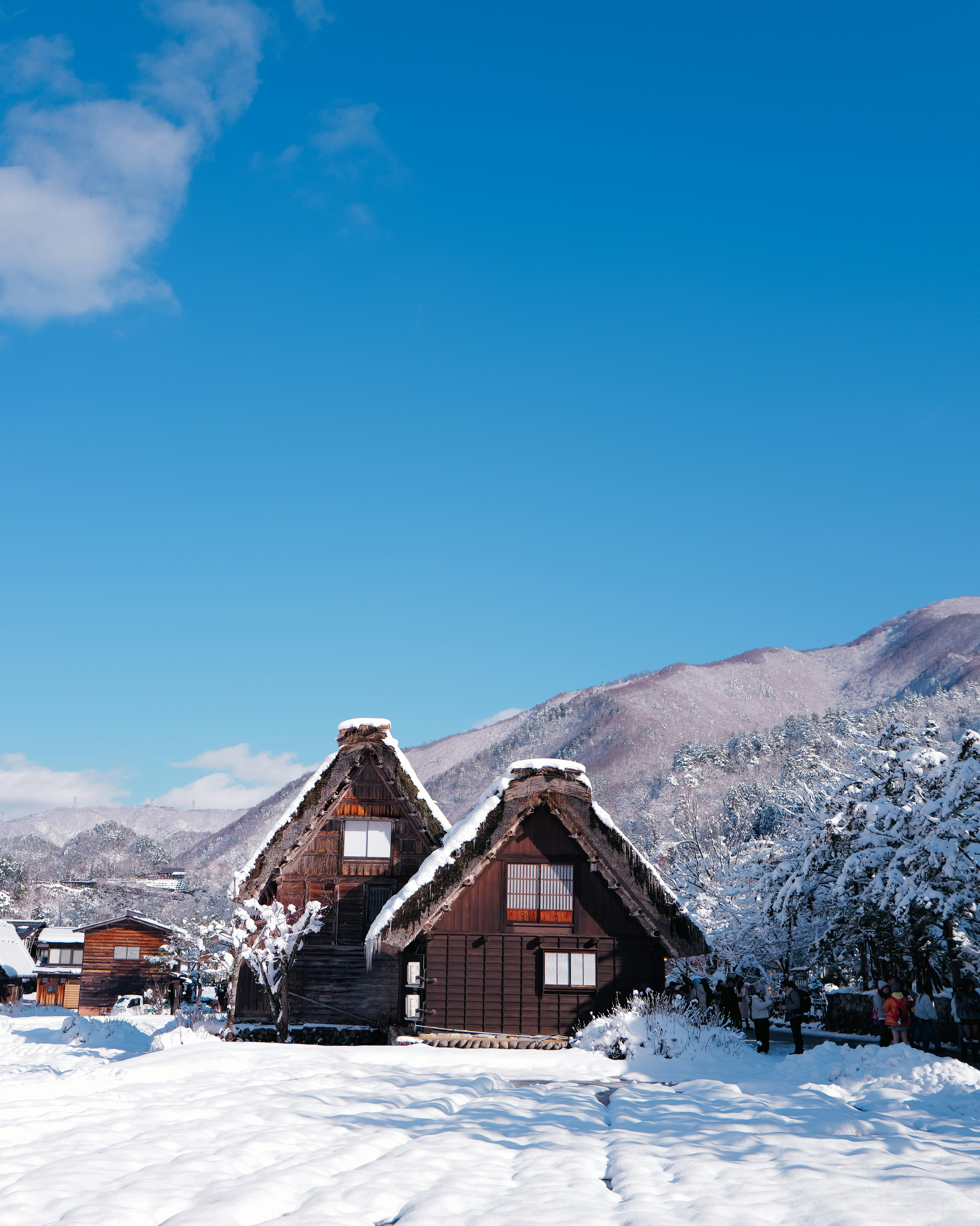 雪に覆われた村の伝統的な日本の家々。