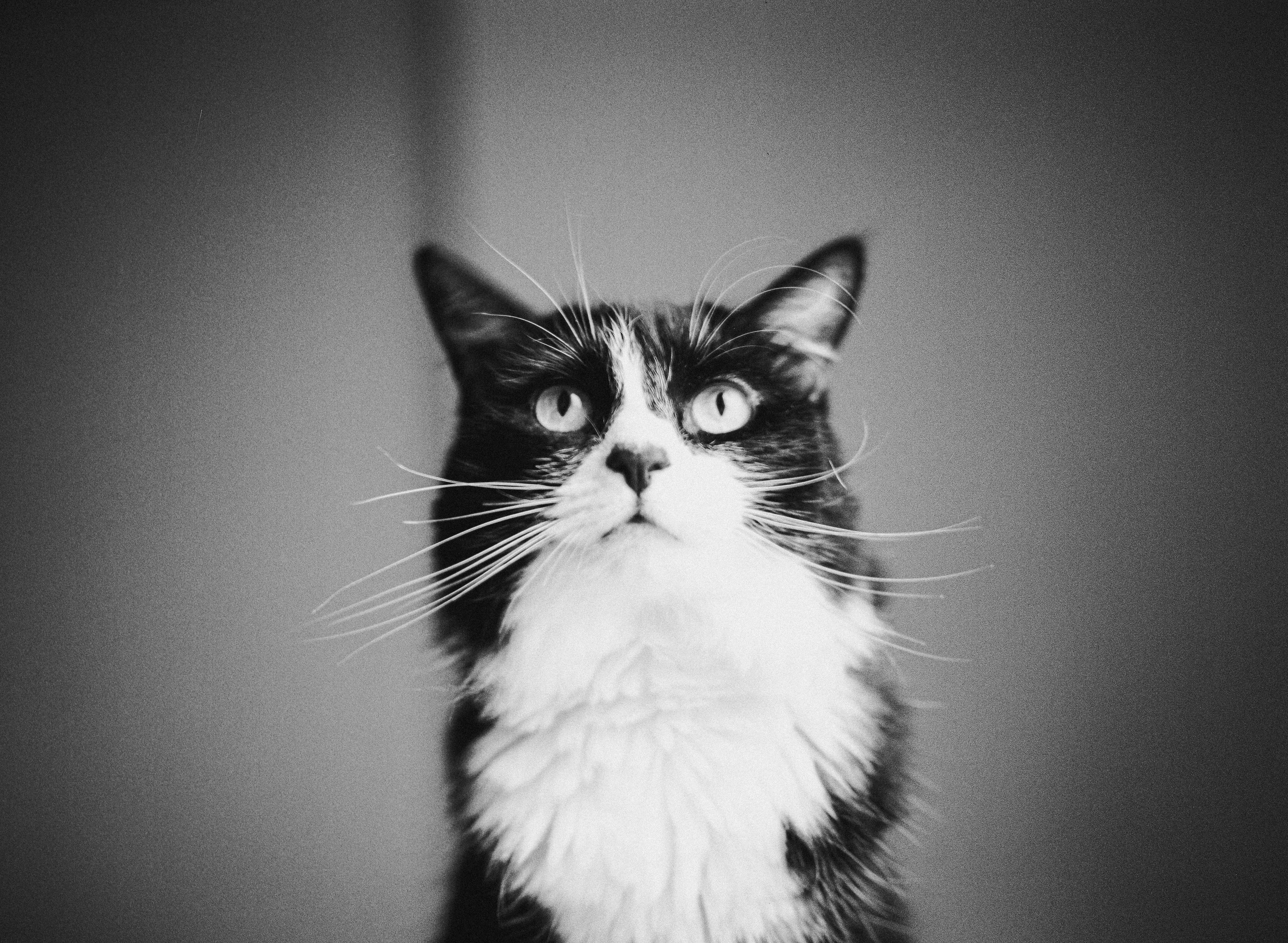 Photo by justalifein