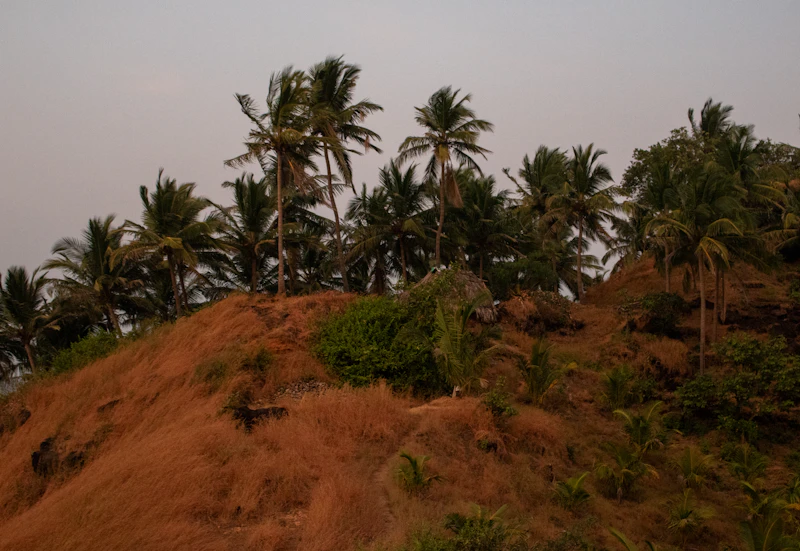 Best Weekend Getaways From Ashtamudi: Short Trips Worth Every Kilometre