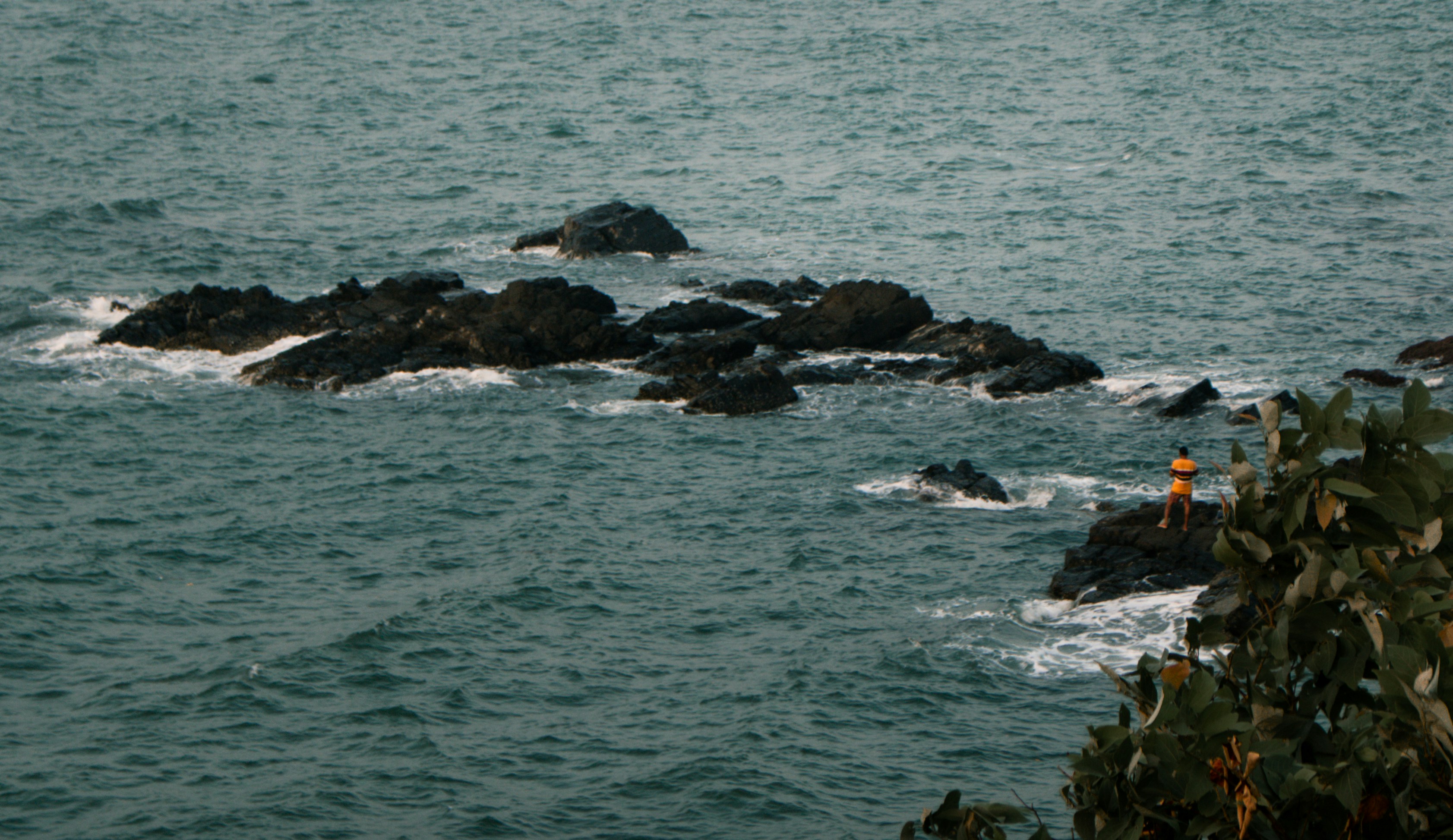 Photo by zoshuacolah