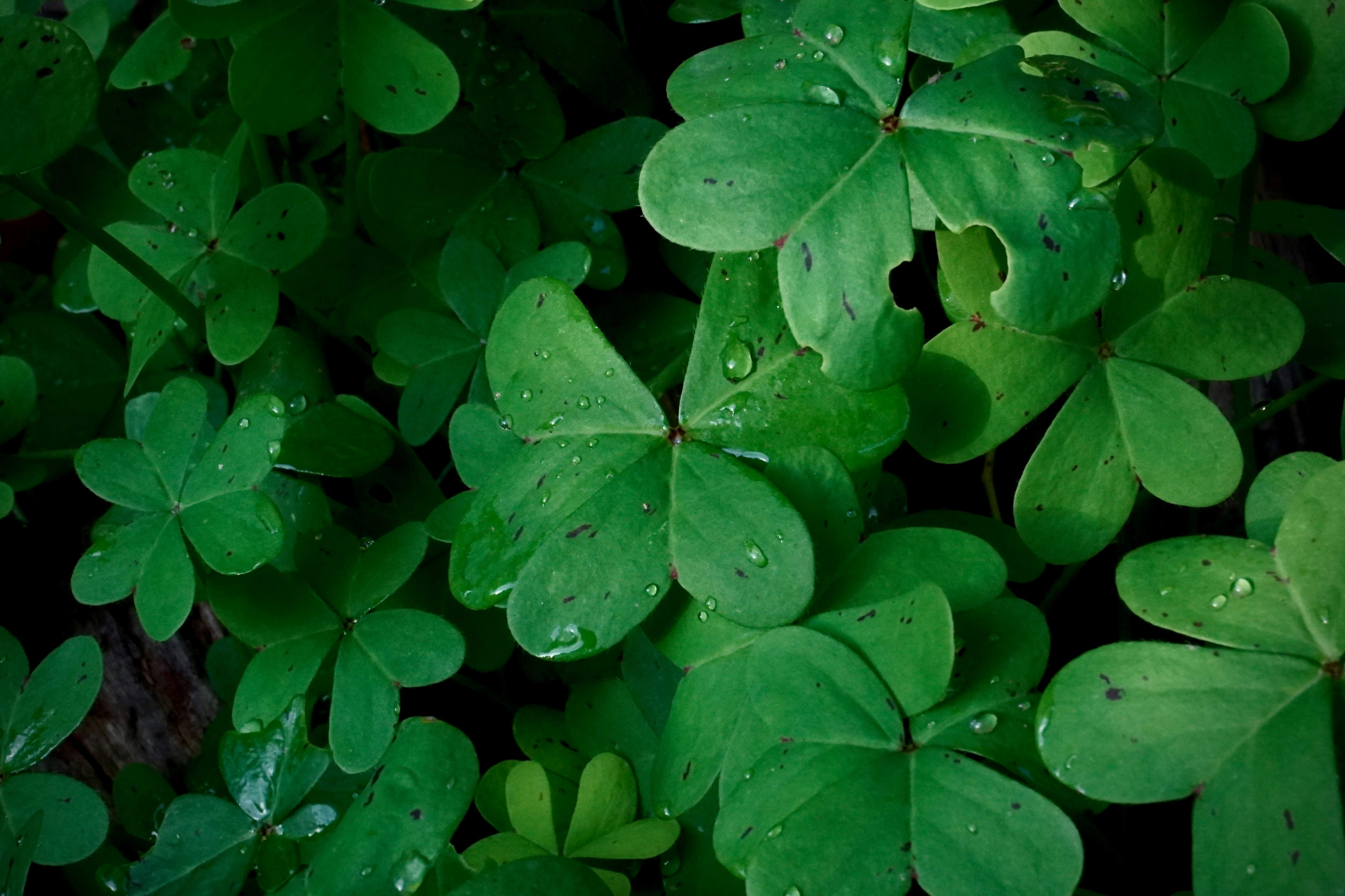 Photo by carlalipani