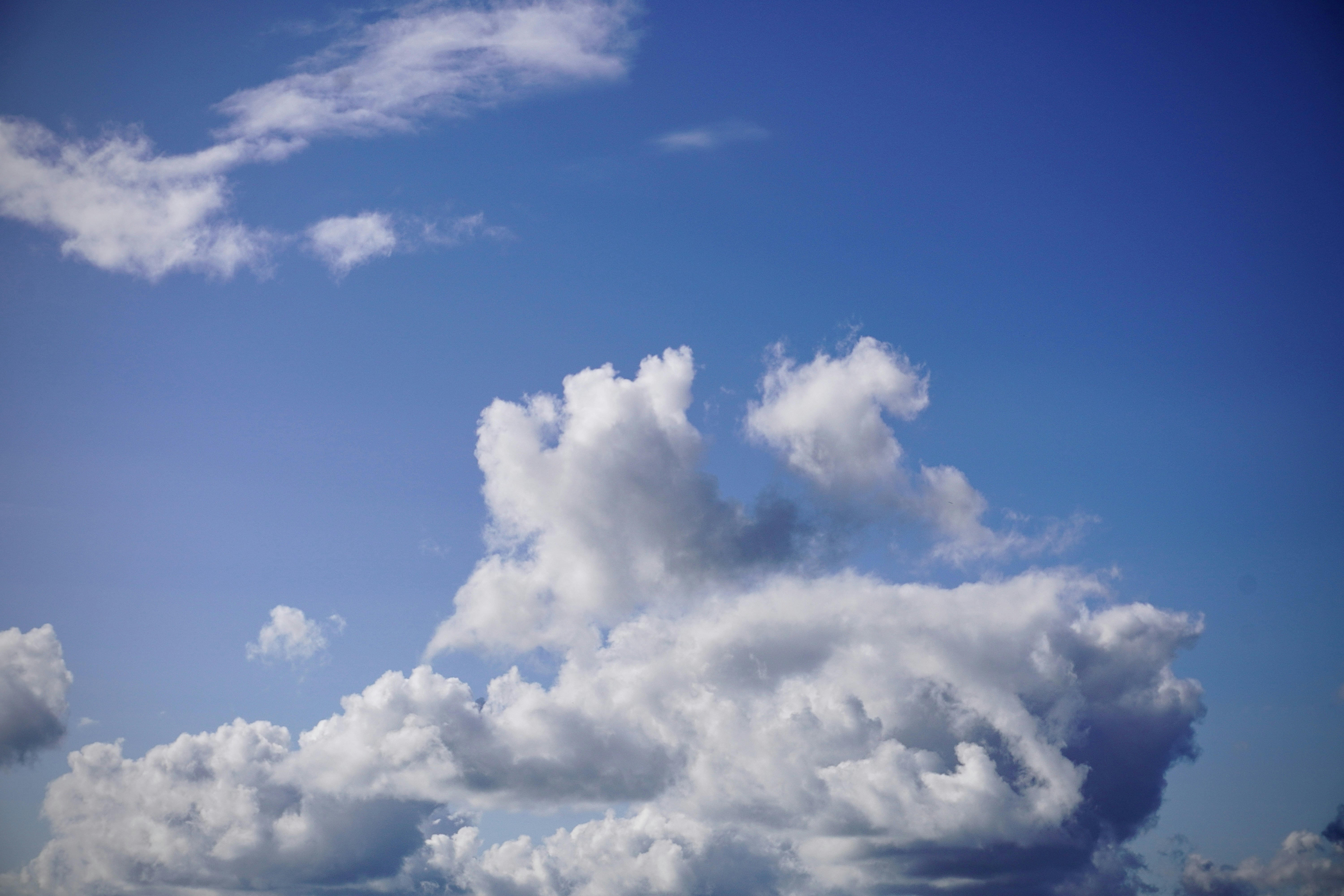 Photo by carlalipani