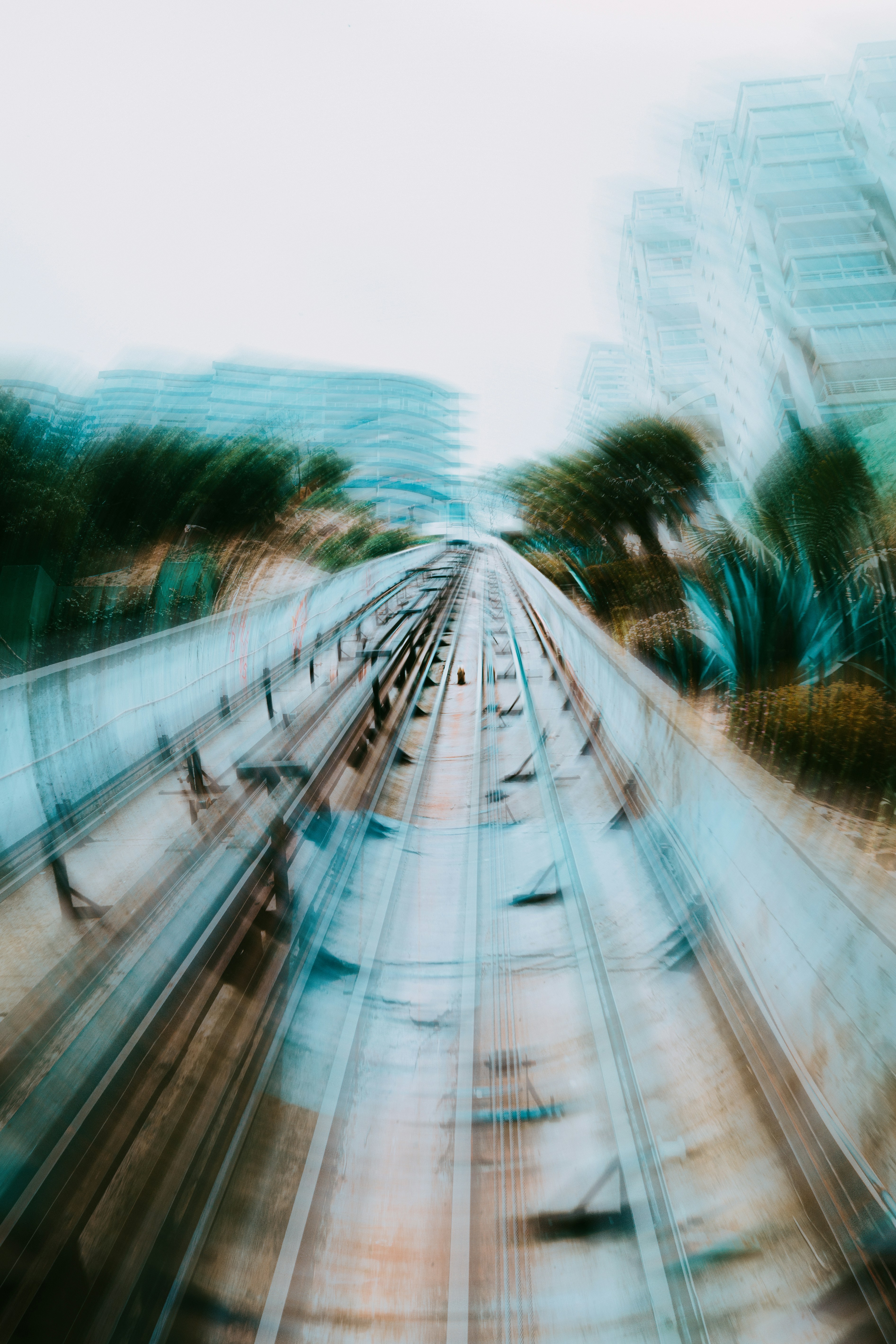 Photo by raulescobarf