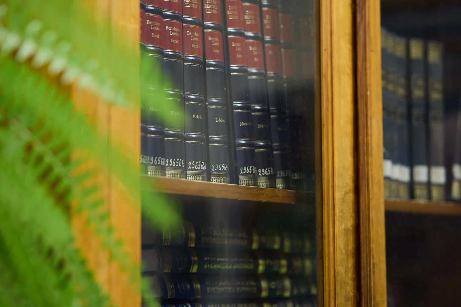 Law library shelves of bound volumes