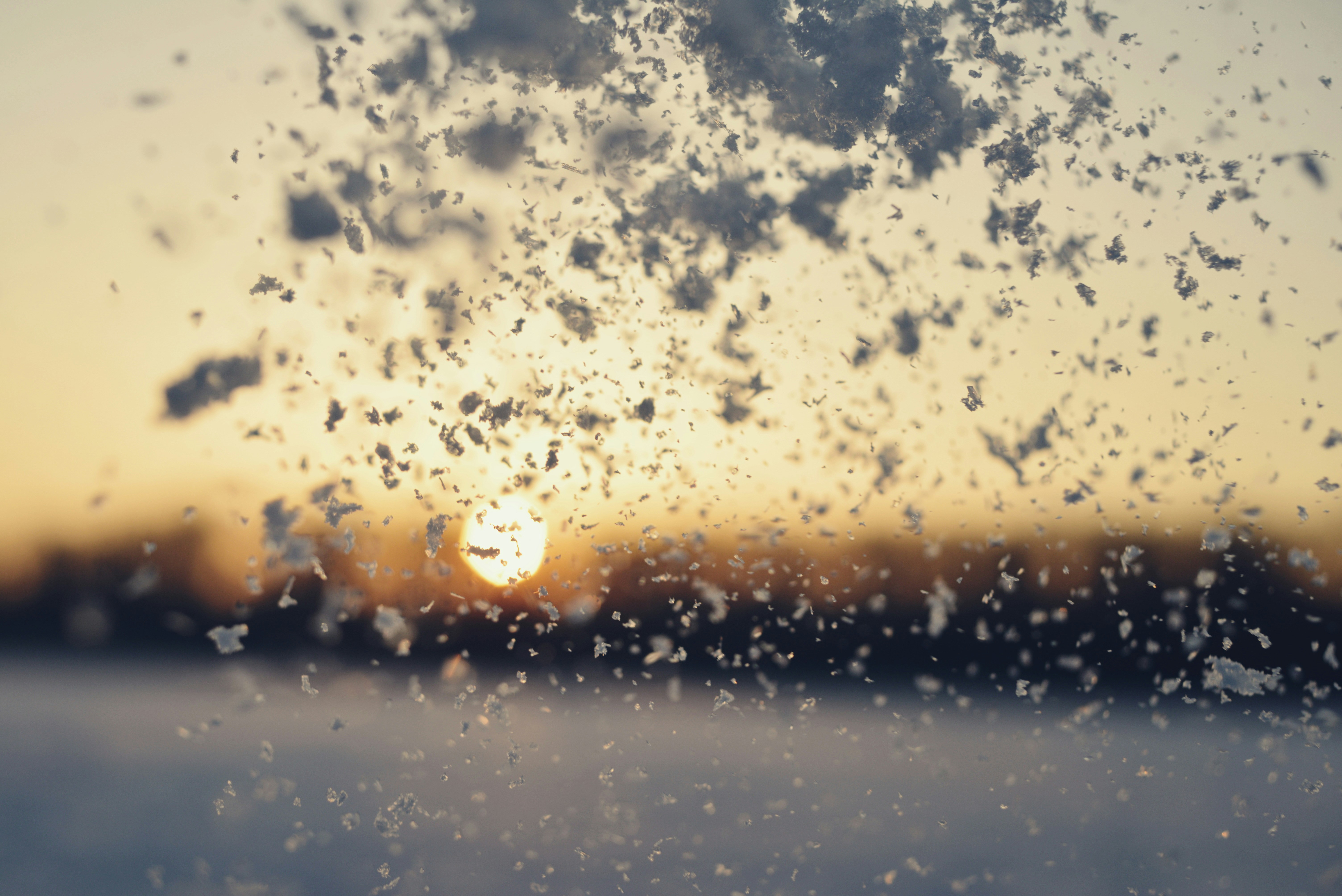 Photo by cherstve_pechivo