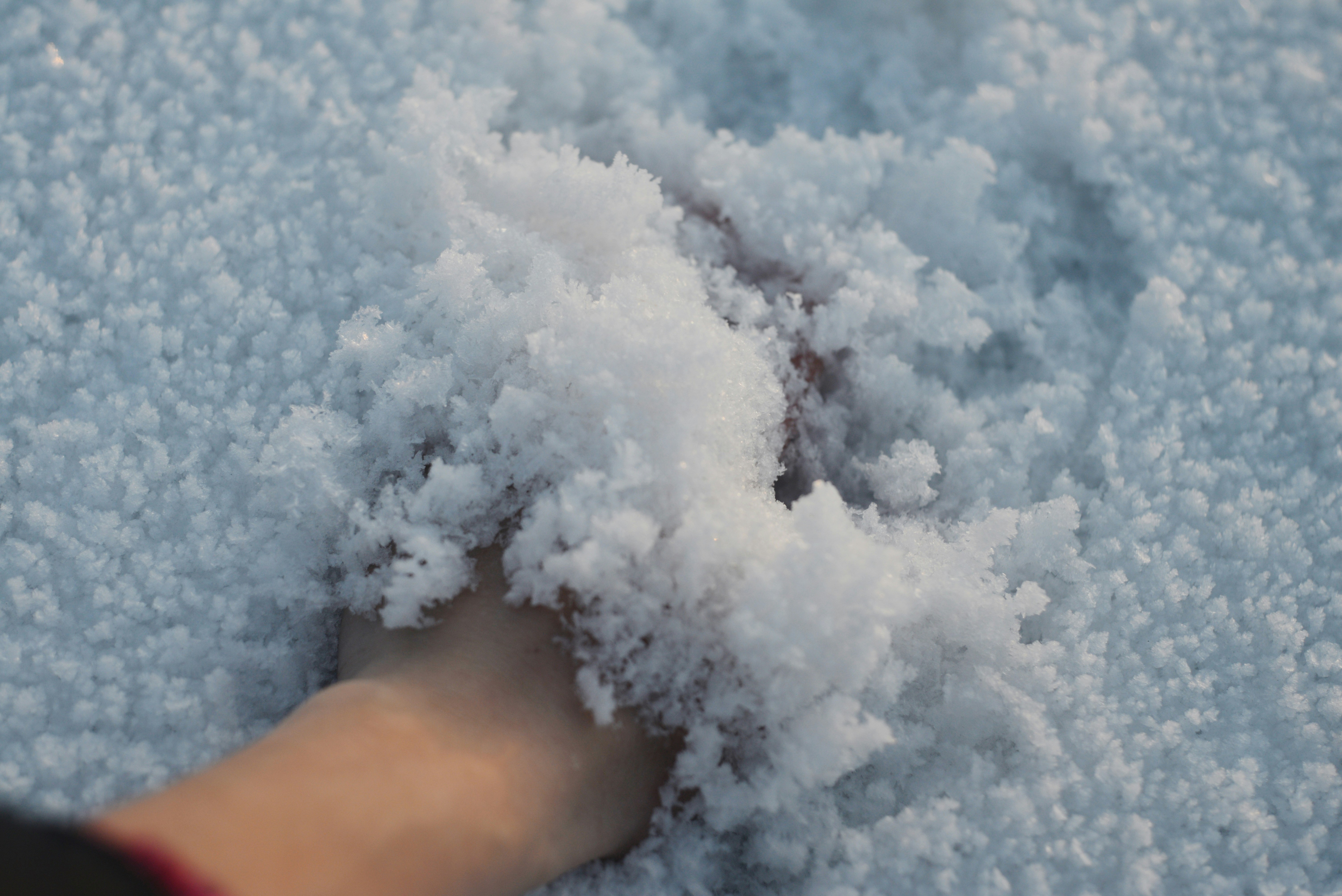 신선한 눈더미를 들고 있는 손