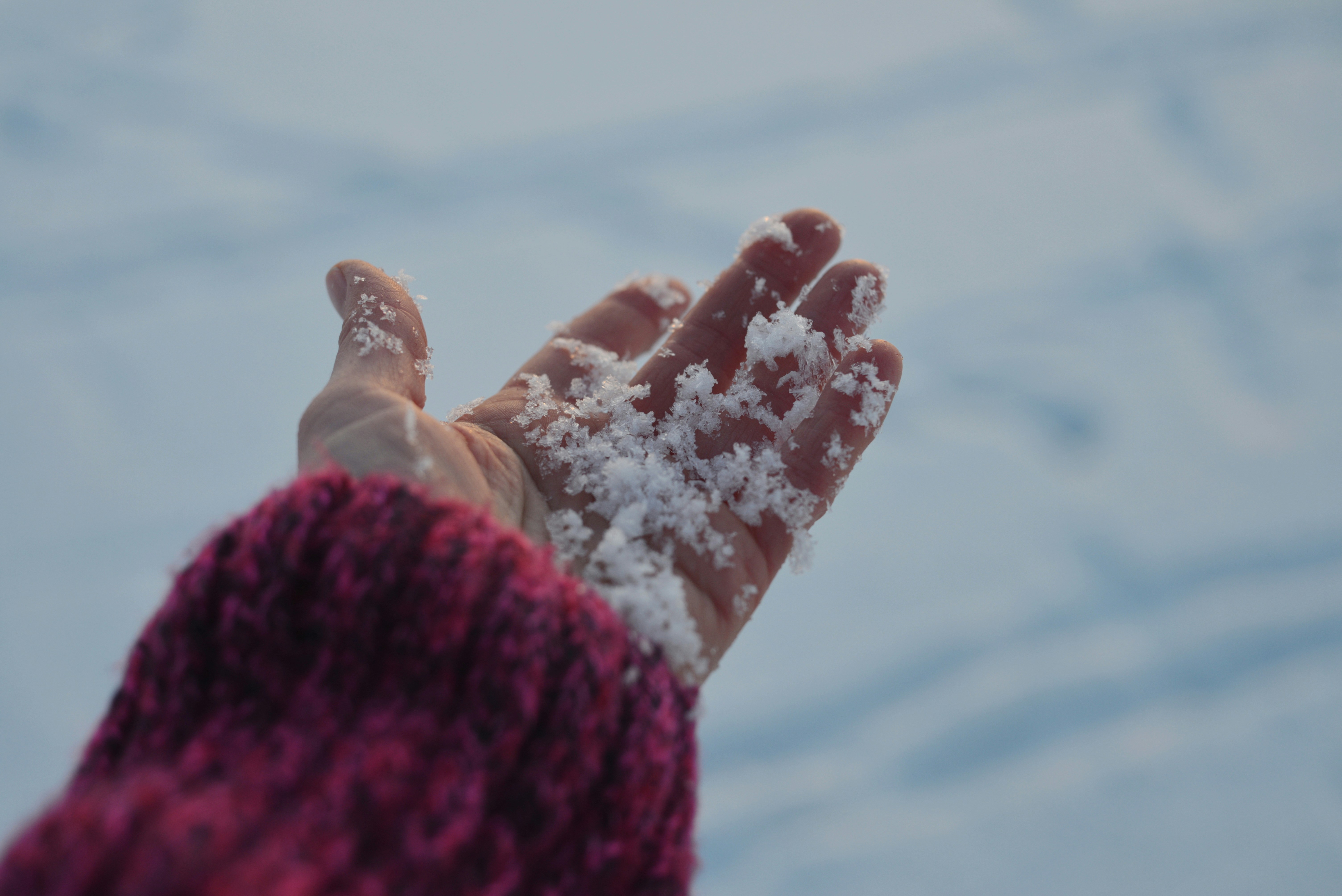 Photo by cherstve_pechivo