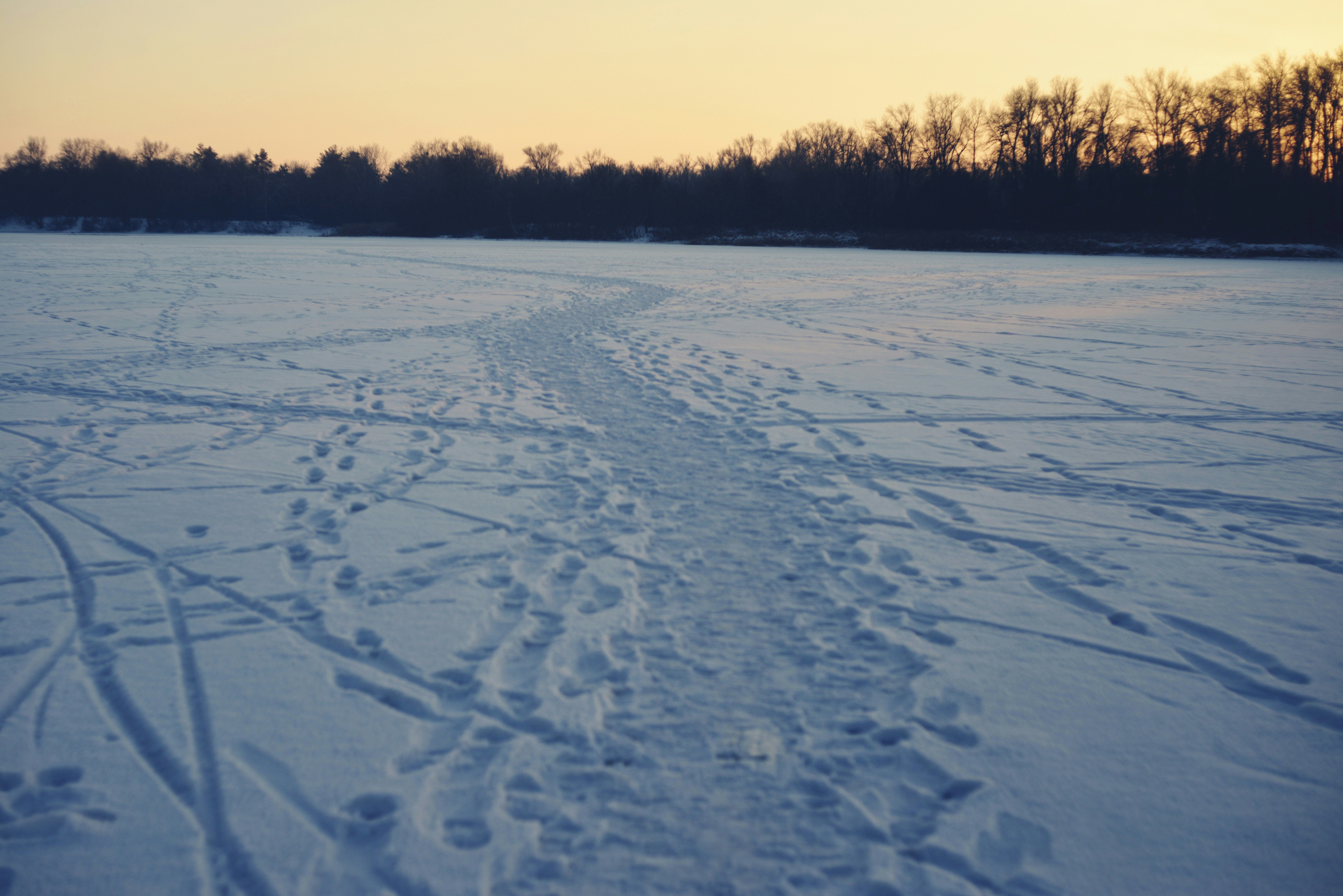 일몰 무렵 눈 덮인 들판 위의 발자국과 스키 트랙