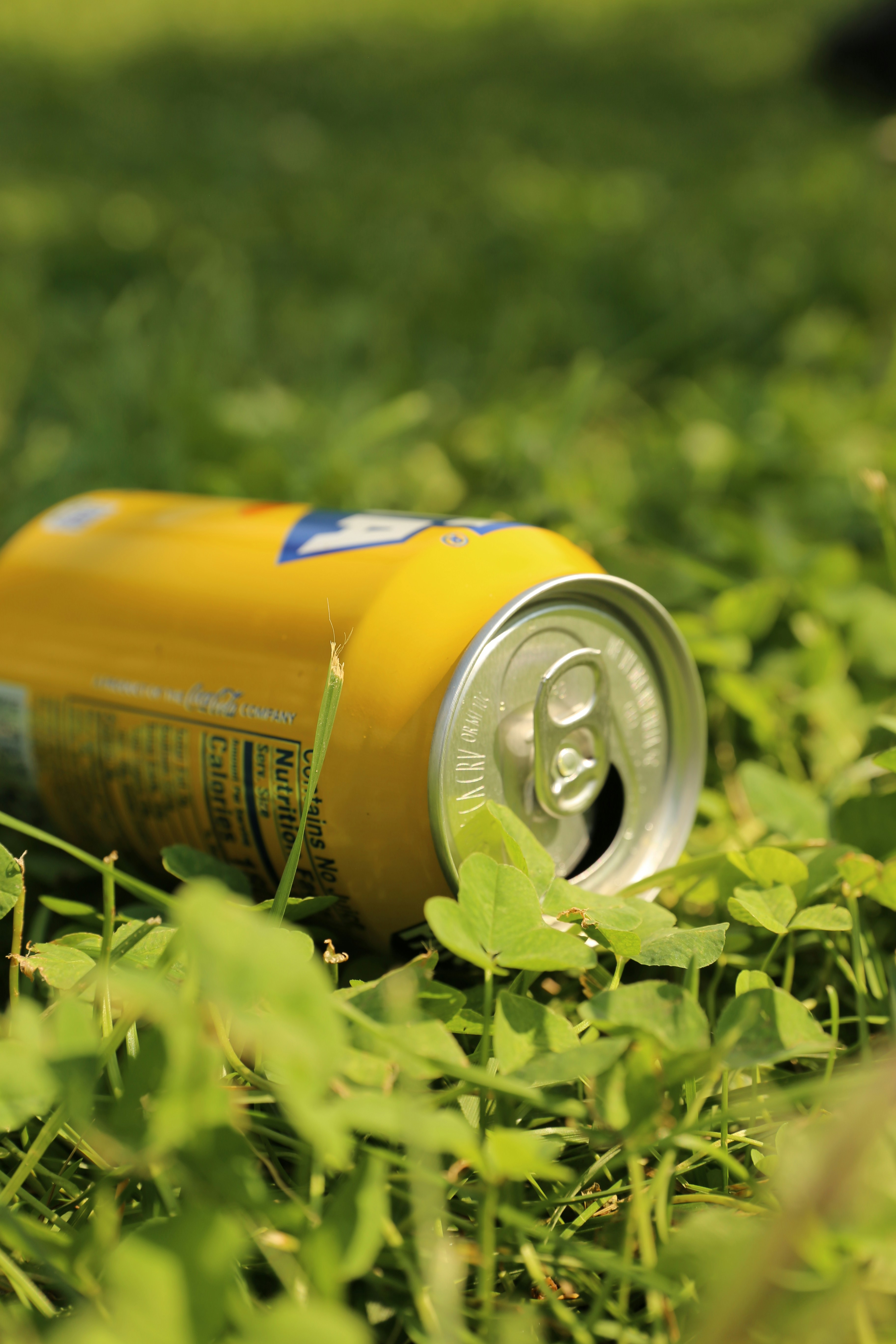 Una lata amarilla tumbada sobre hierba verde