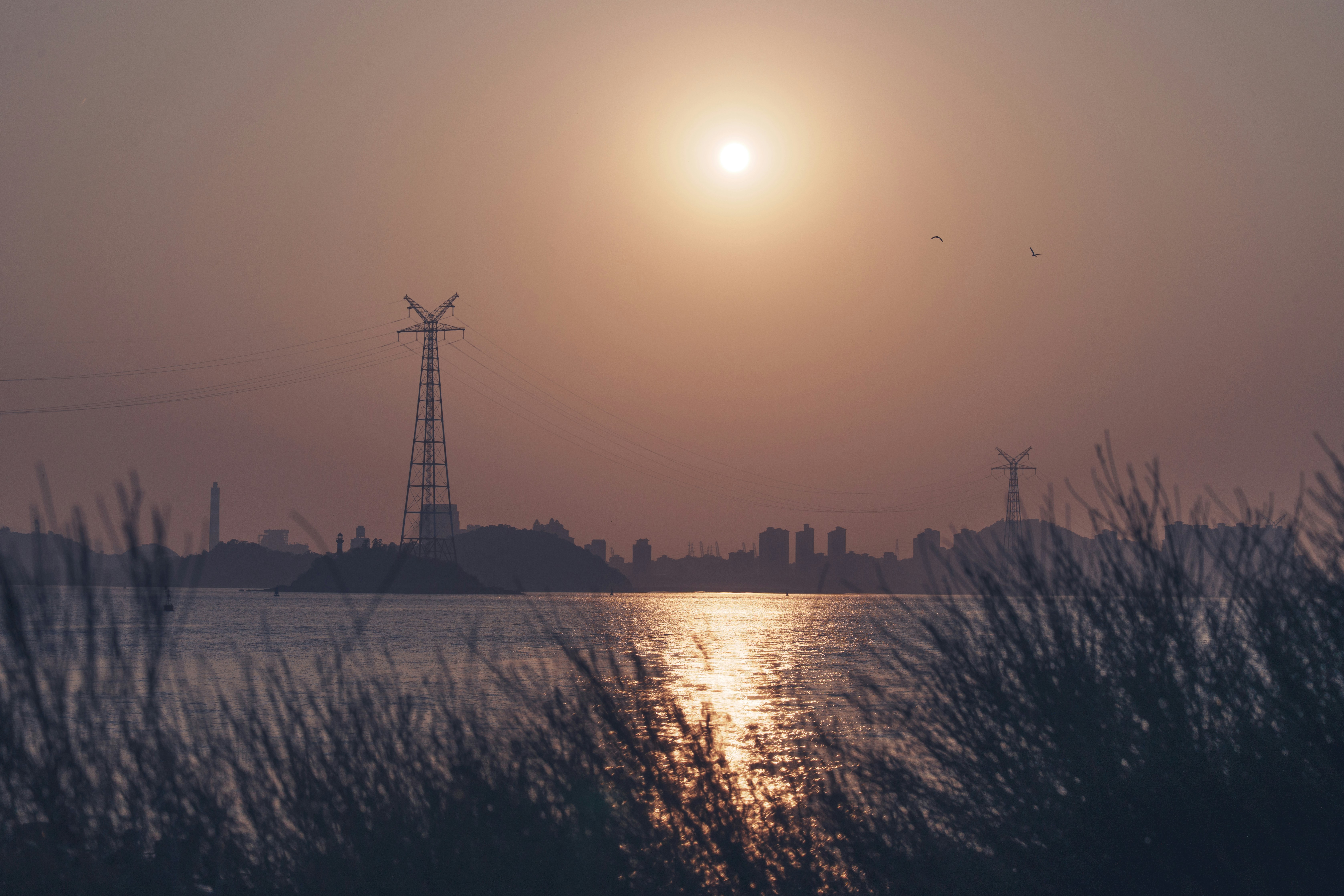 Sunset over water with distant industrial skyline and grass.