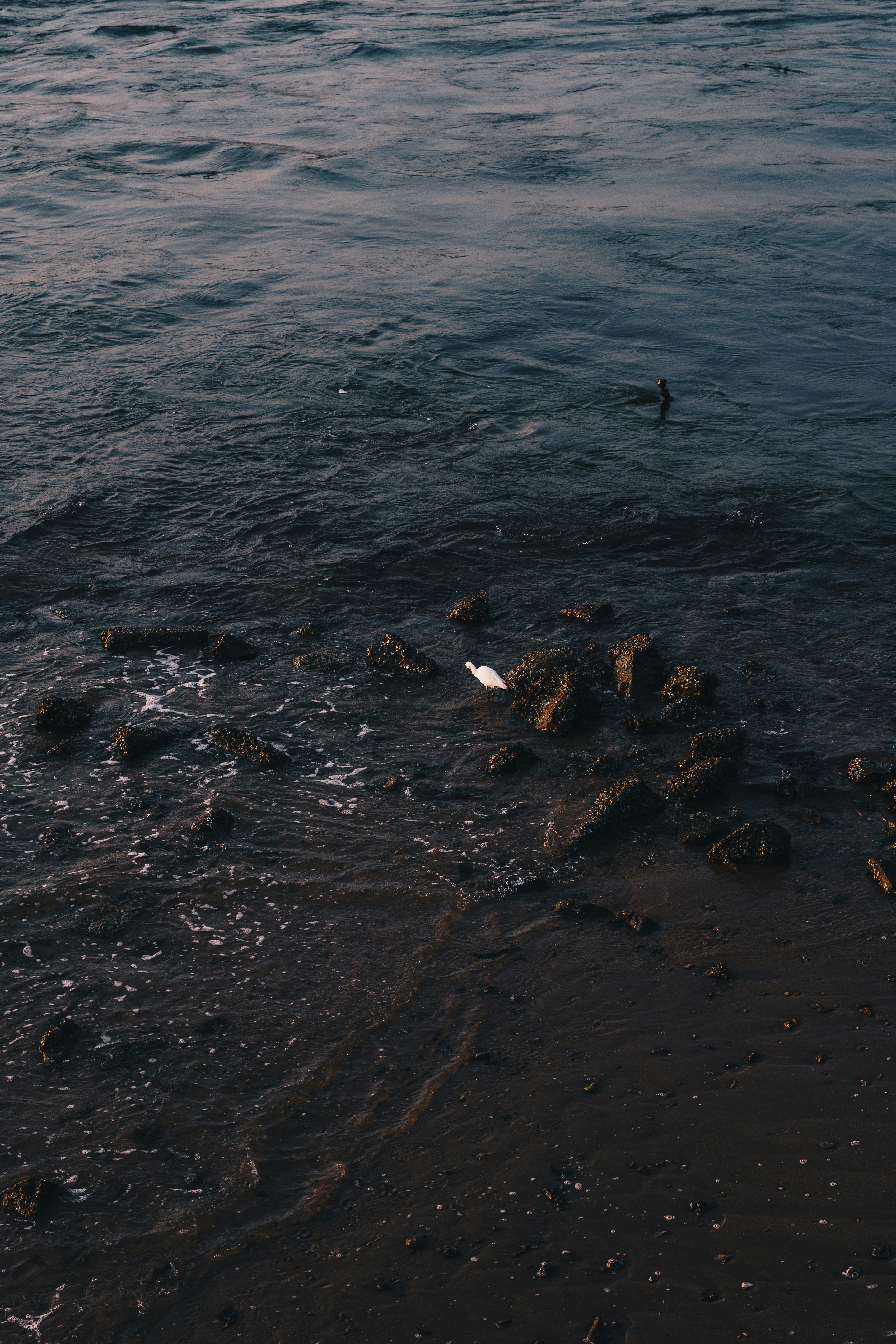 Photo by toxicsmoker