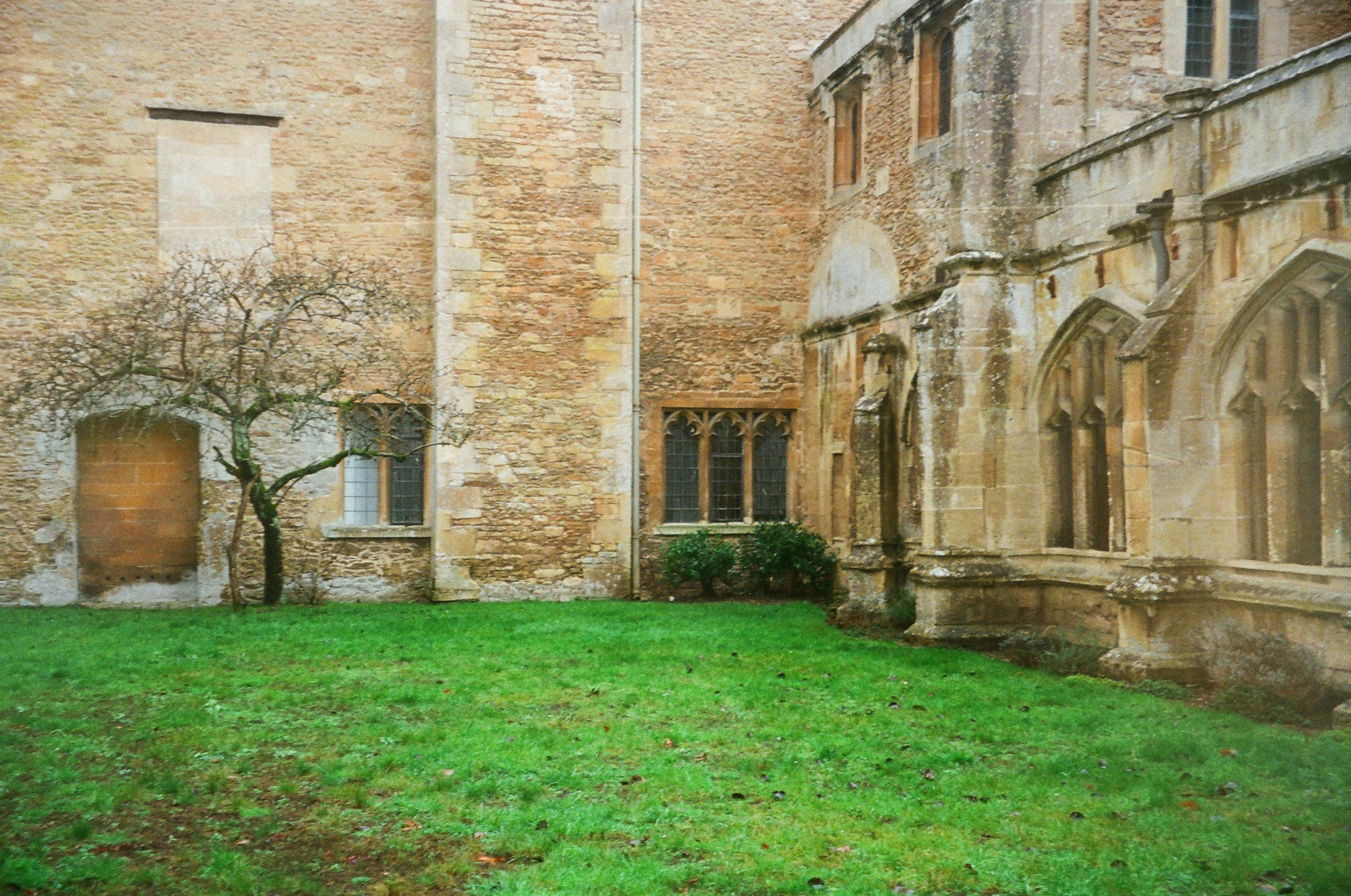 Photo by anniespratt