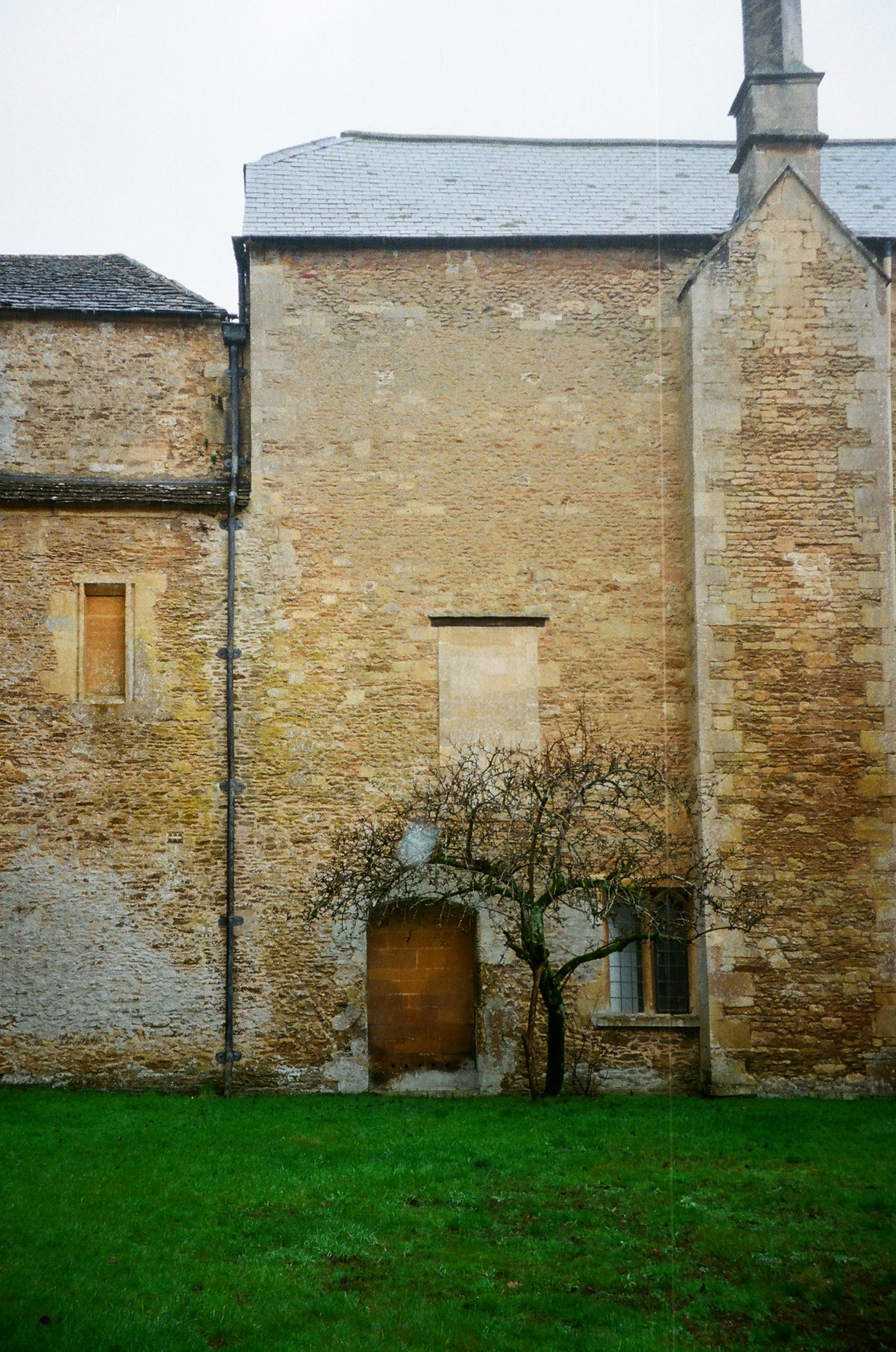 Photo by anniespratt