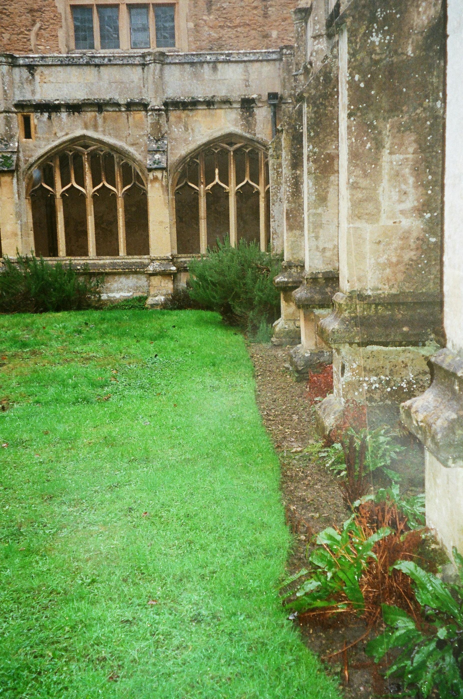 Photo by anniespratt