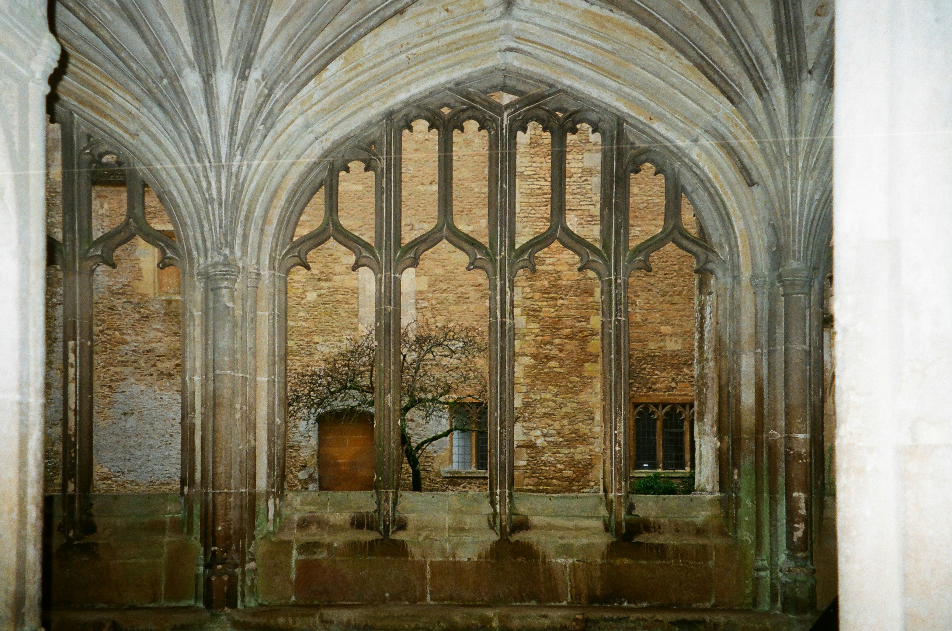 Photo by anniespratt