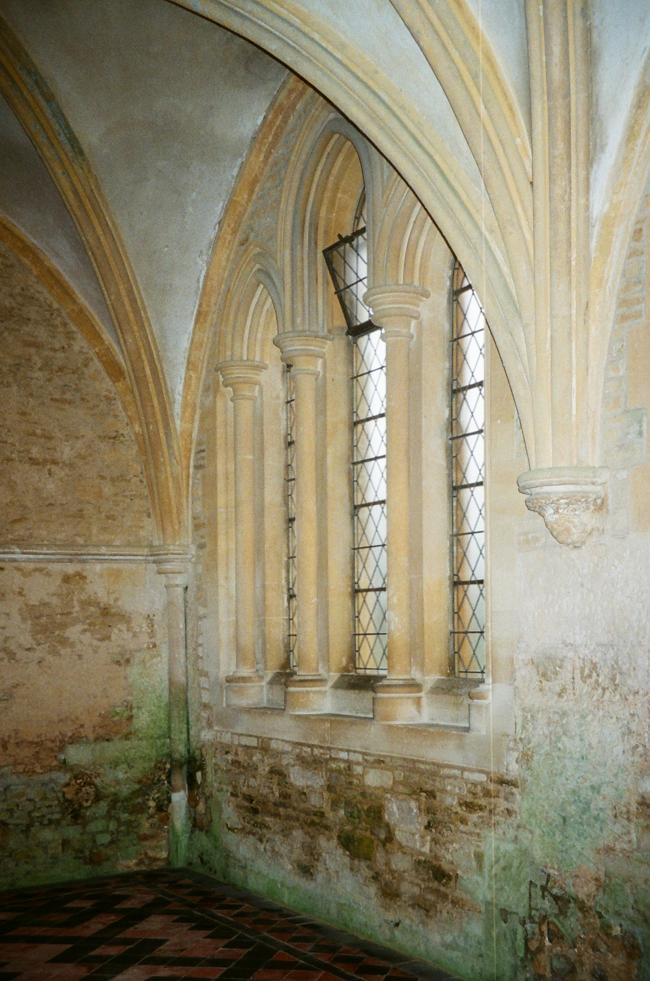 Photo by anniespratt