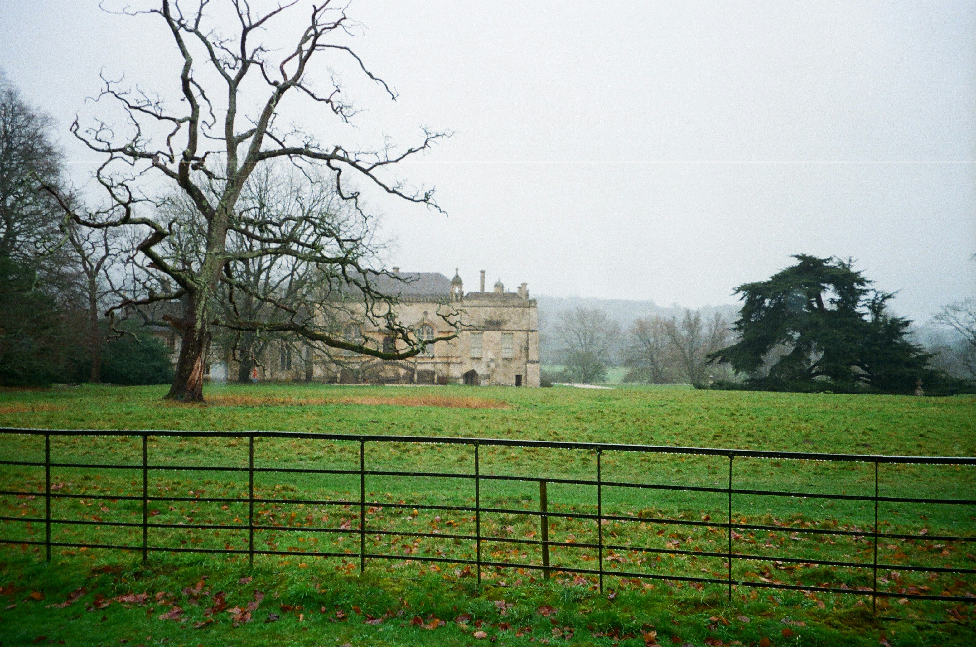 Photo by anniespratt