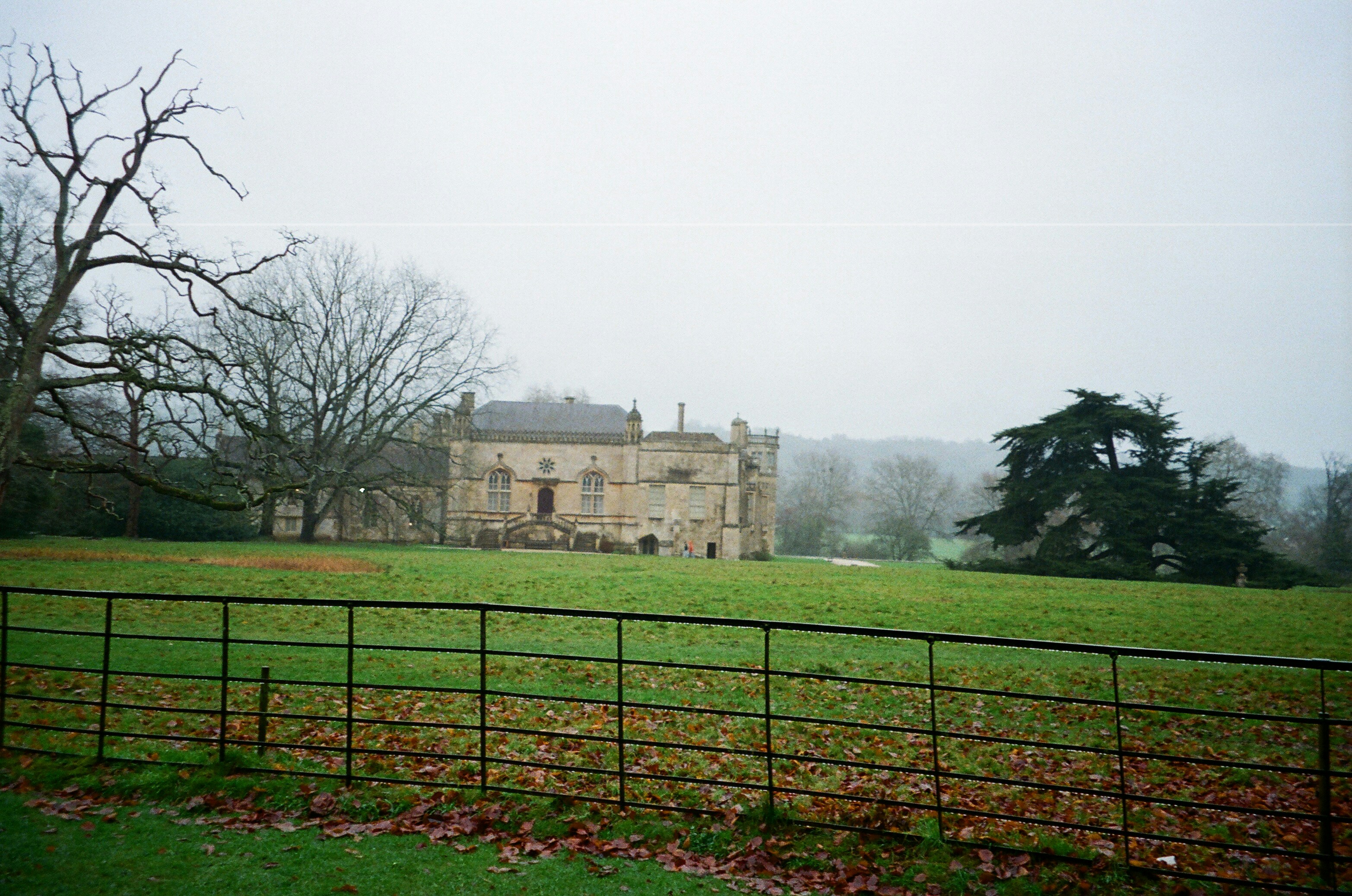 Photo by anniespratt