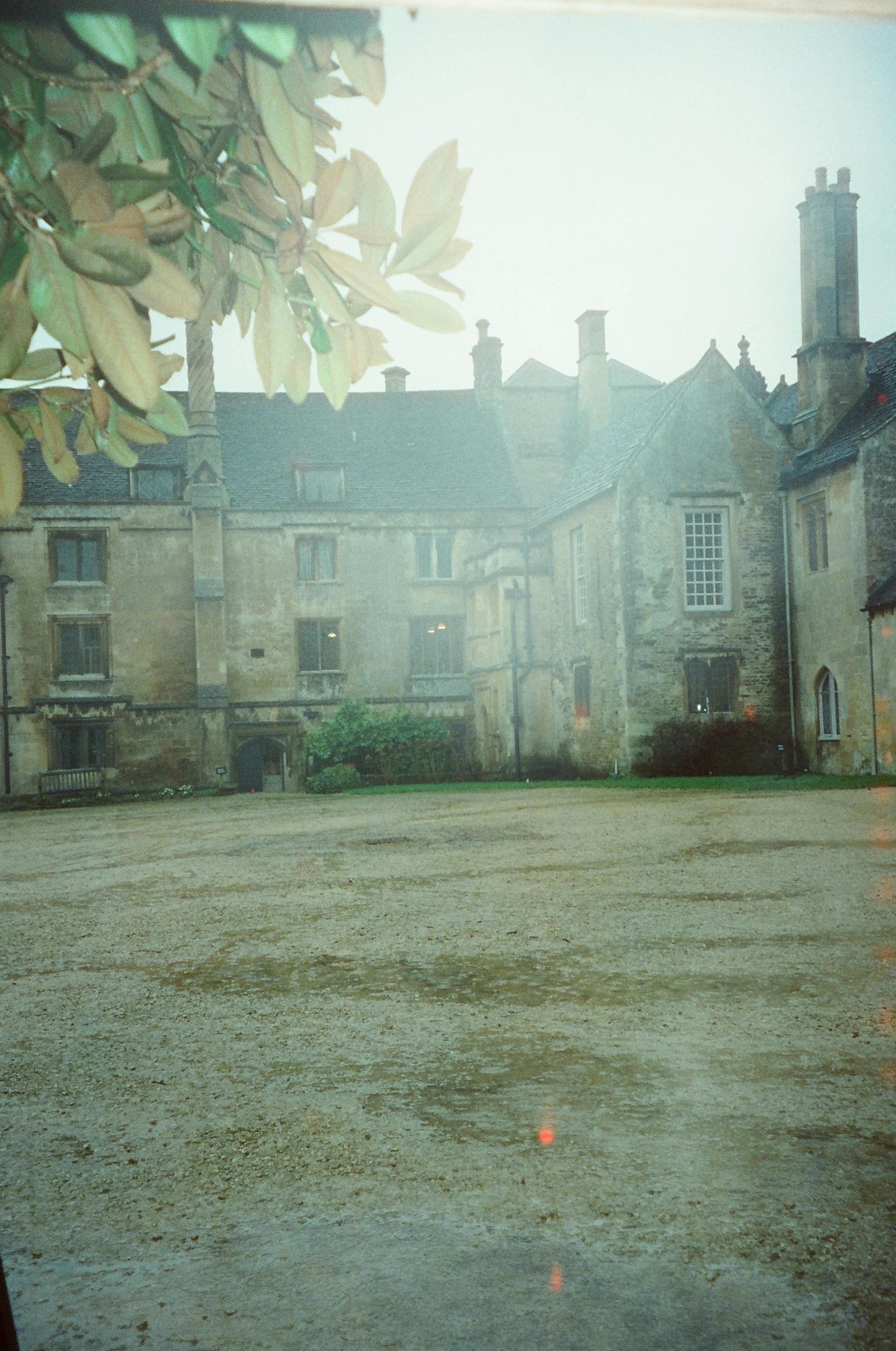 Photo by anniespratt