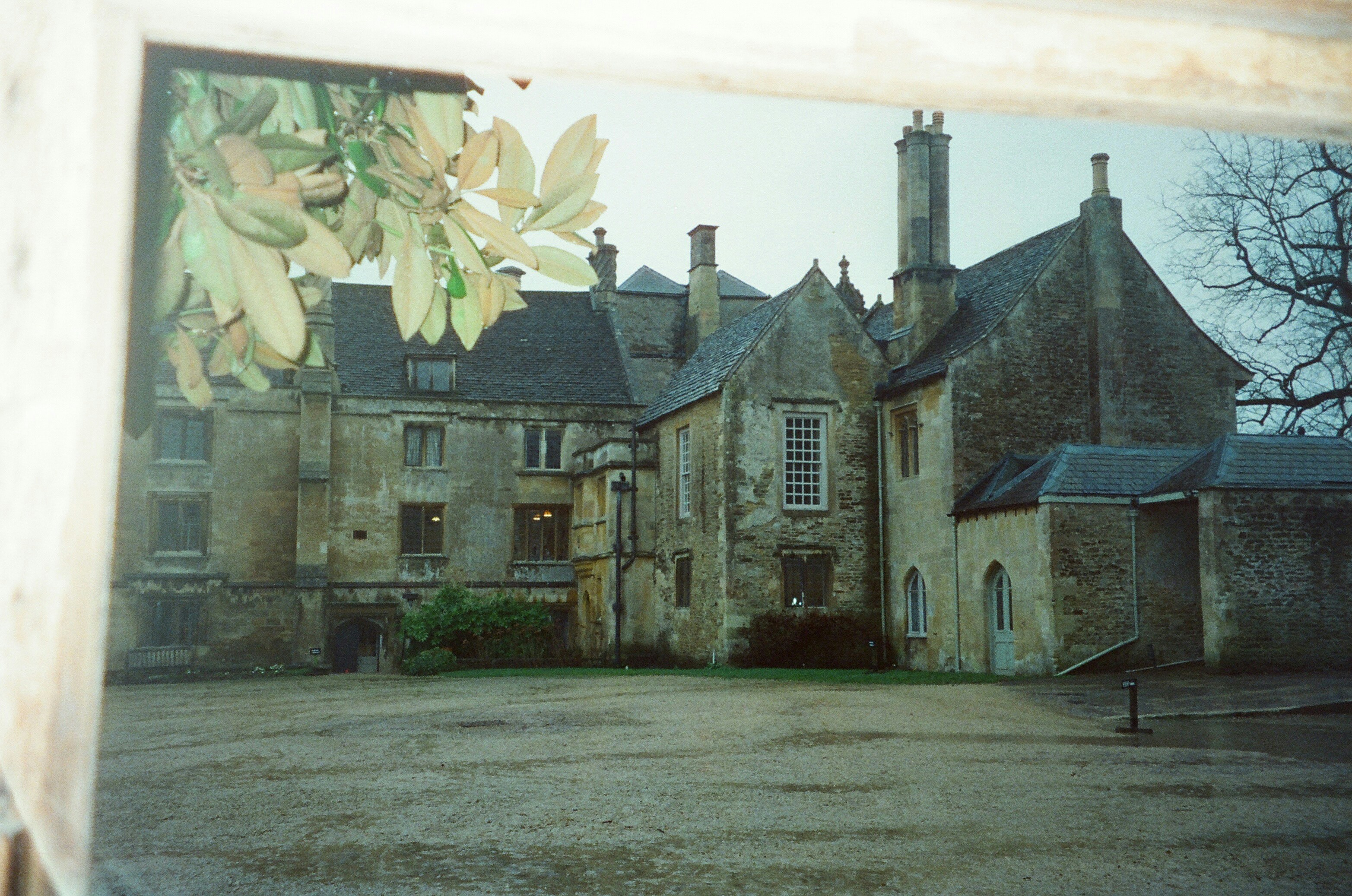 Photo by anniespratt