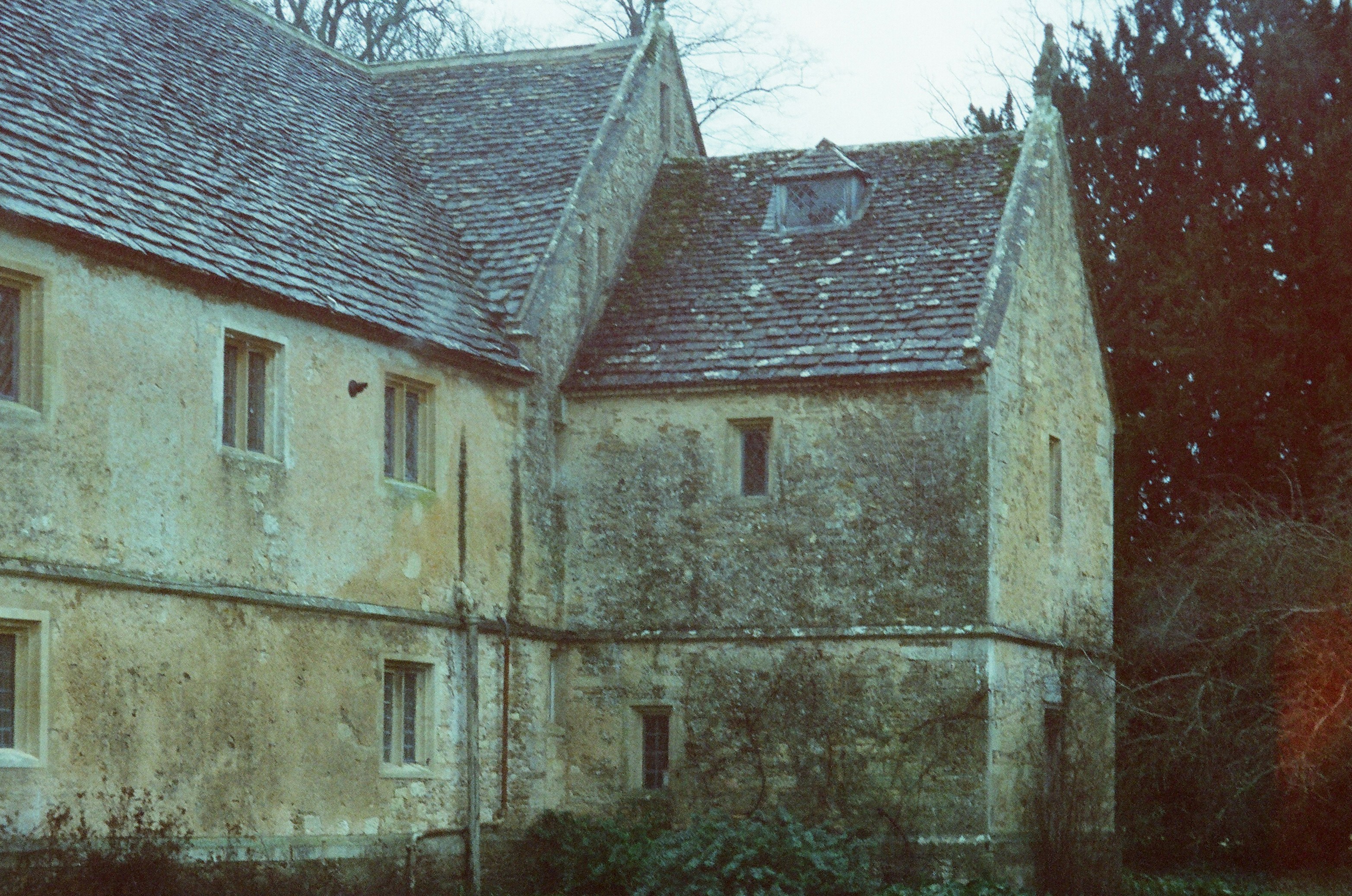 Photo by anniespratt