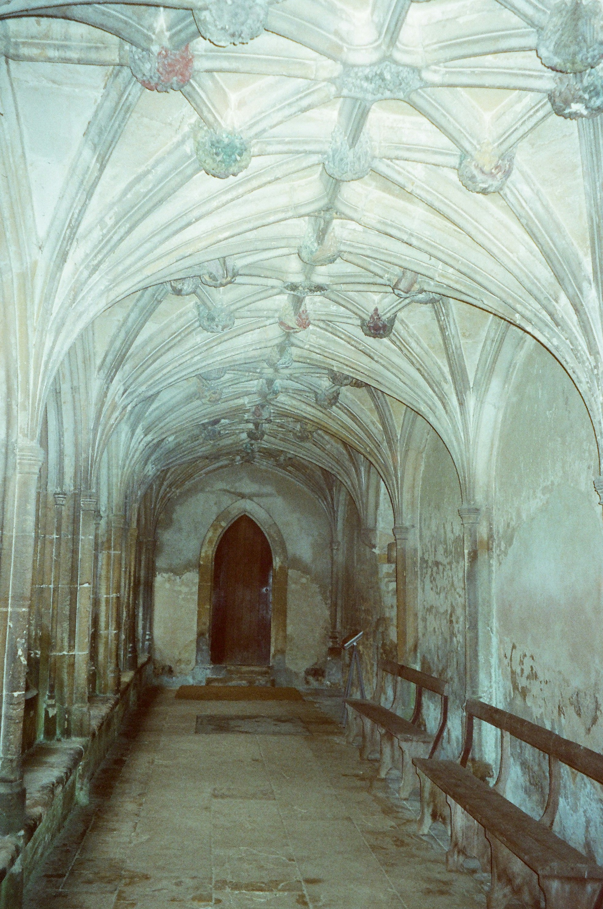 Photo by anniespratt