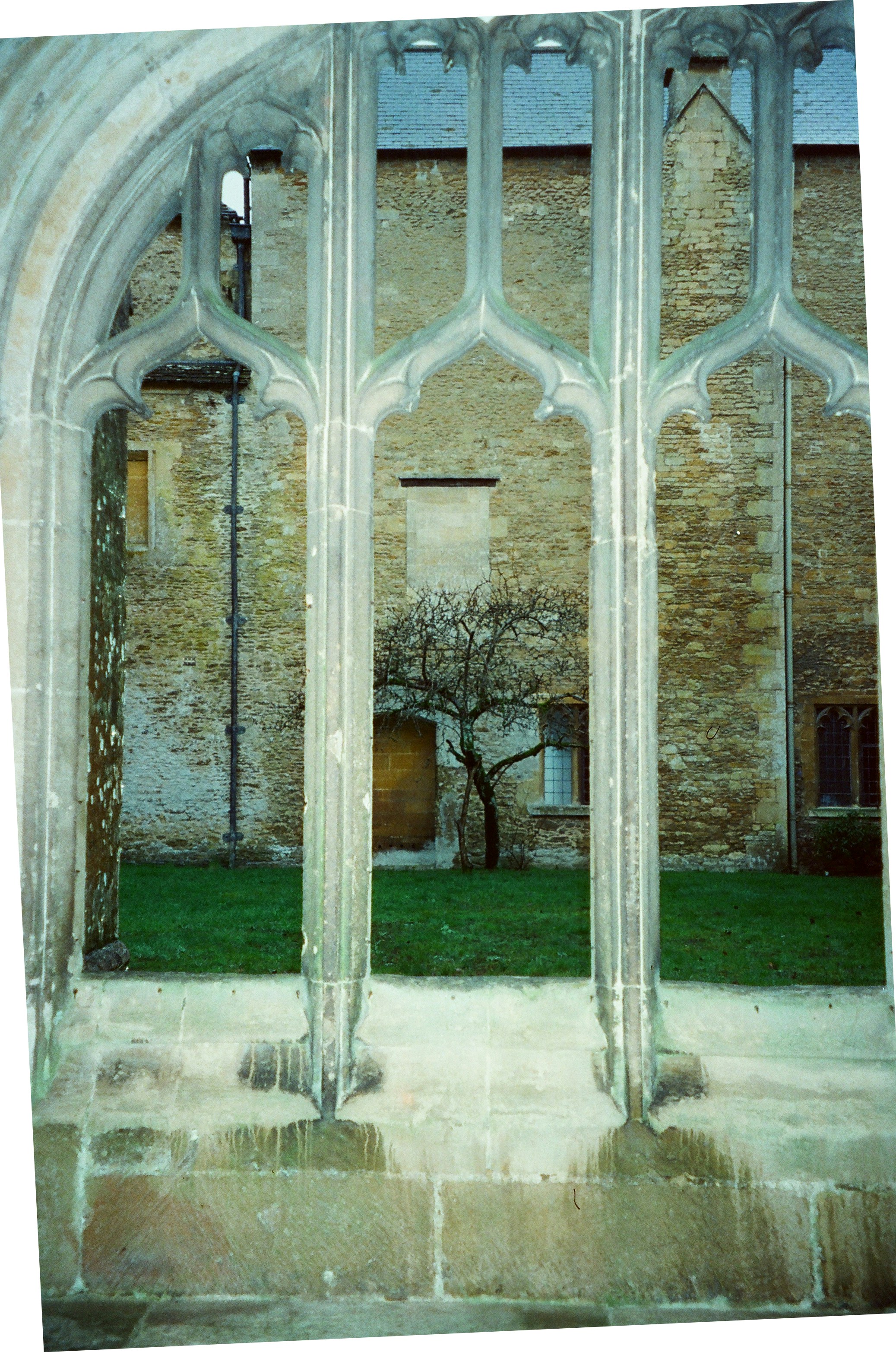 Photo by anniespratt