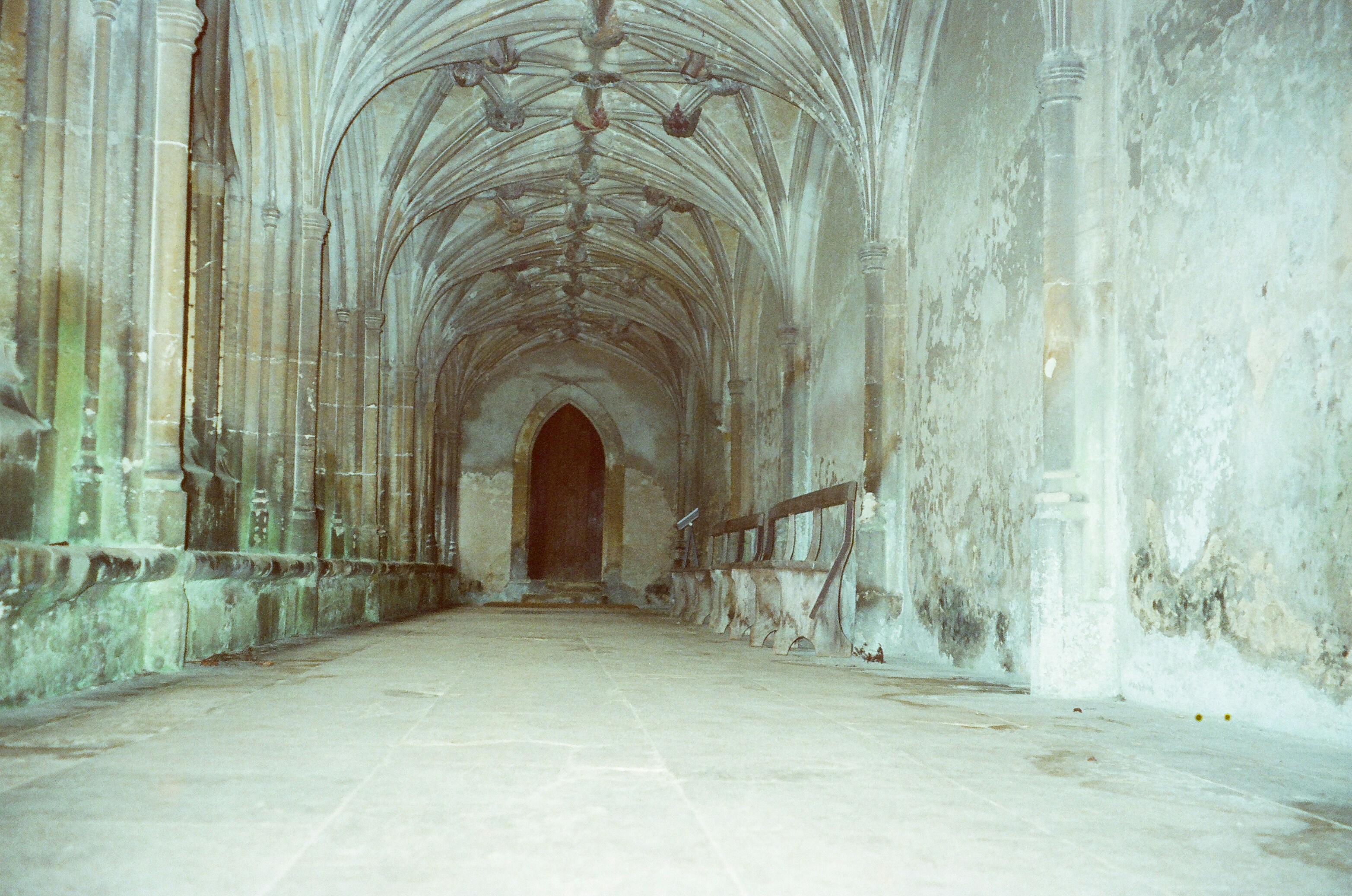 Photo by anniespratt