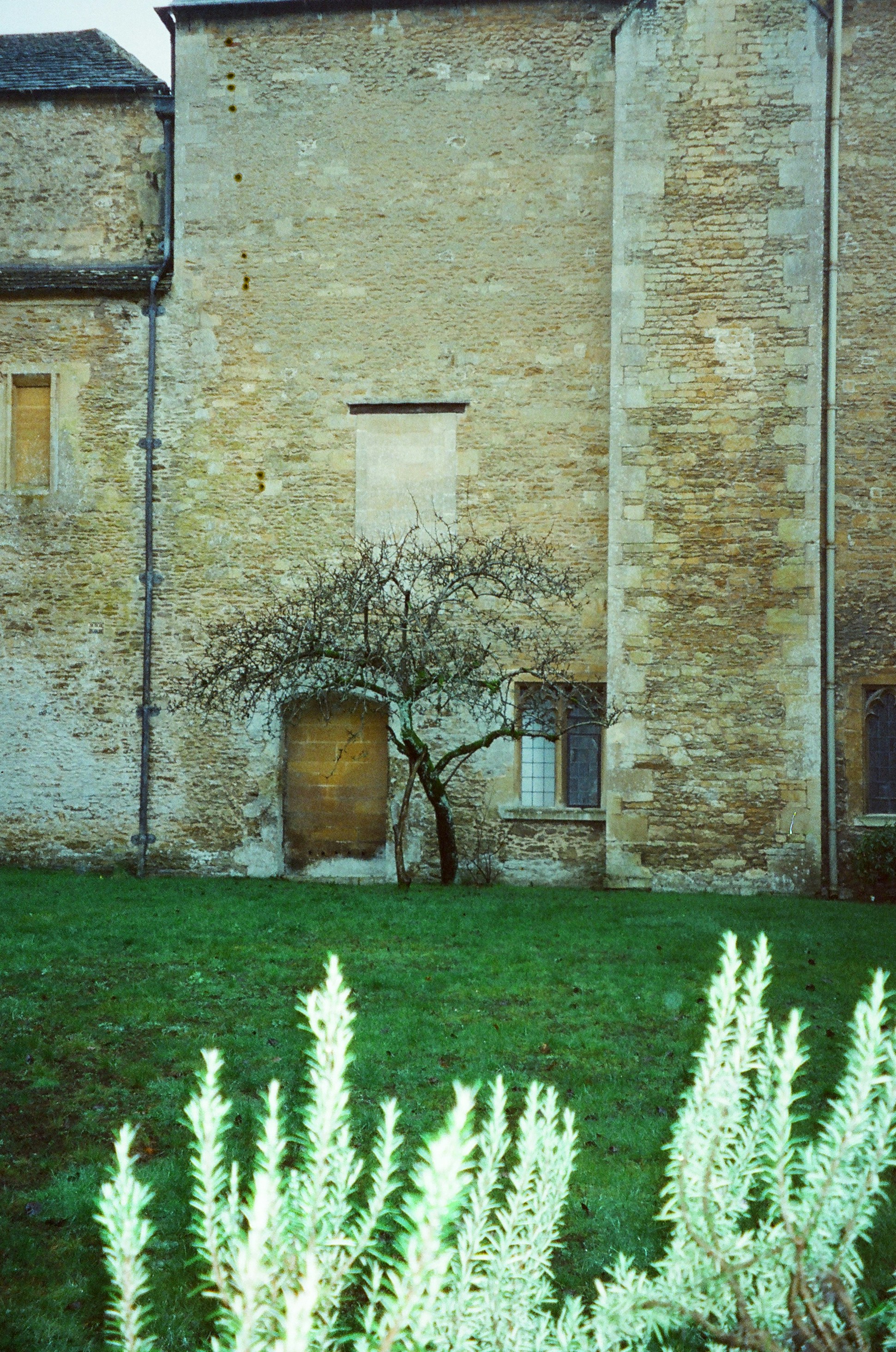 Photo by anniespratt