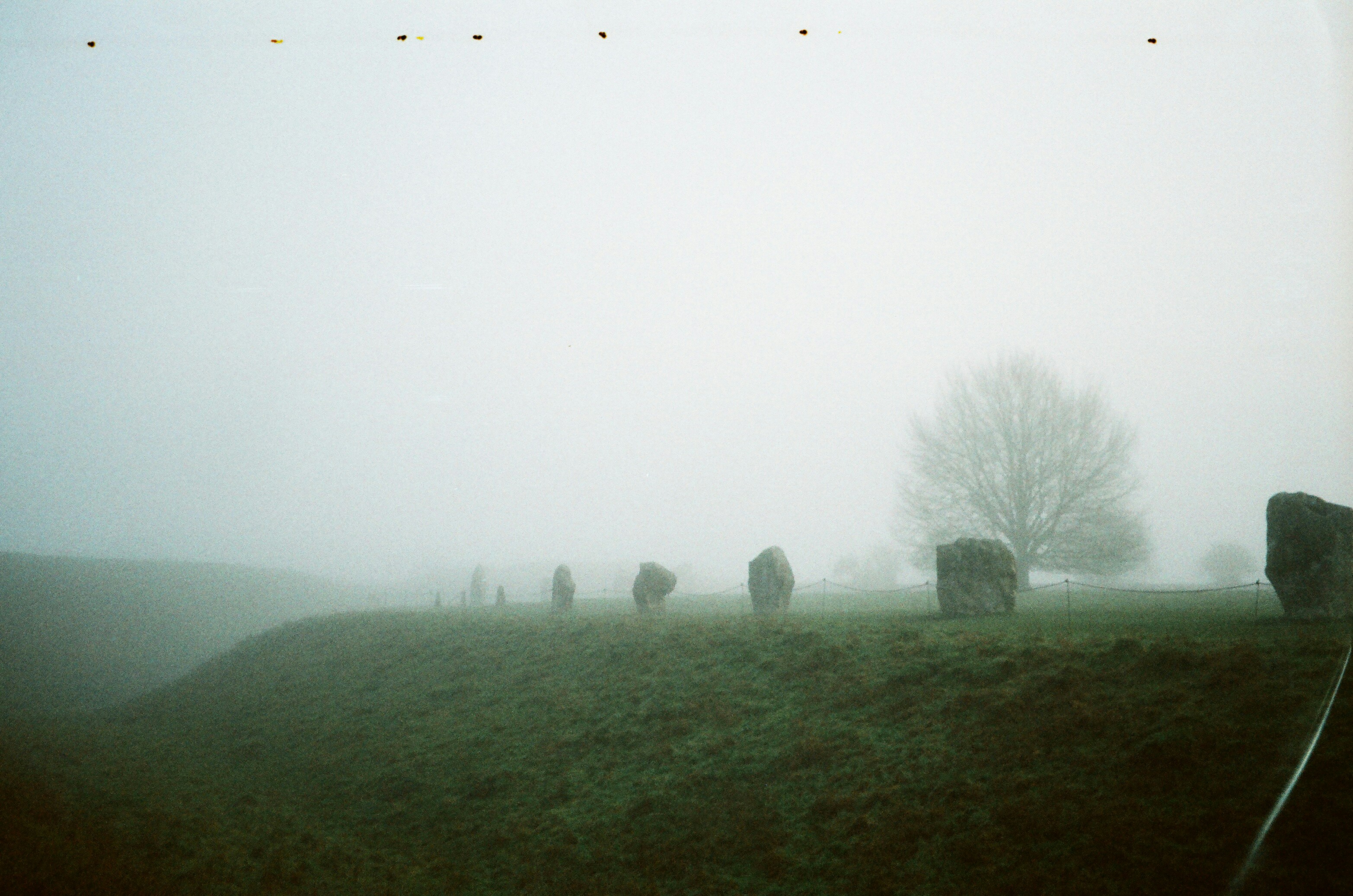 Photo by anniespratt