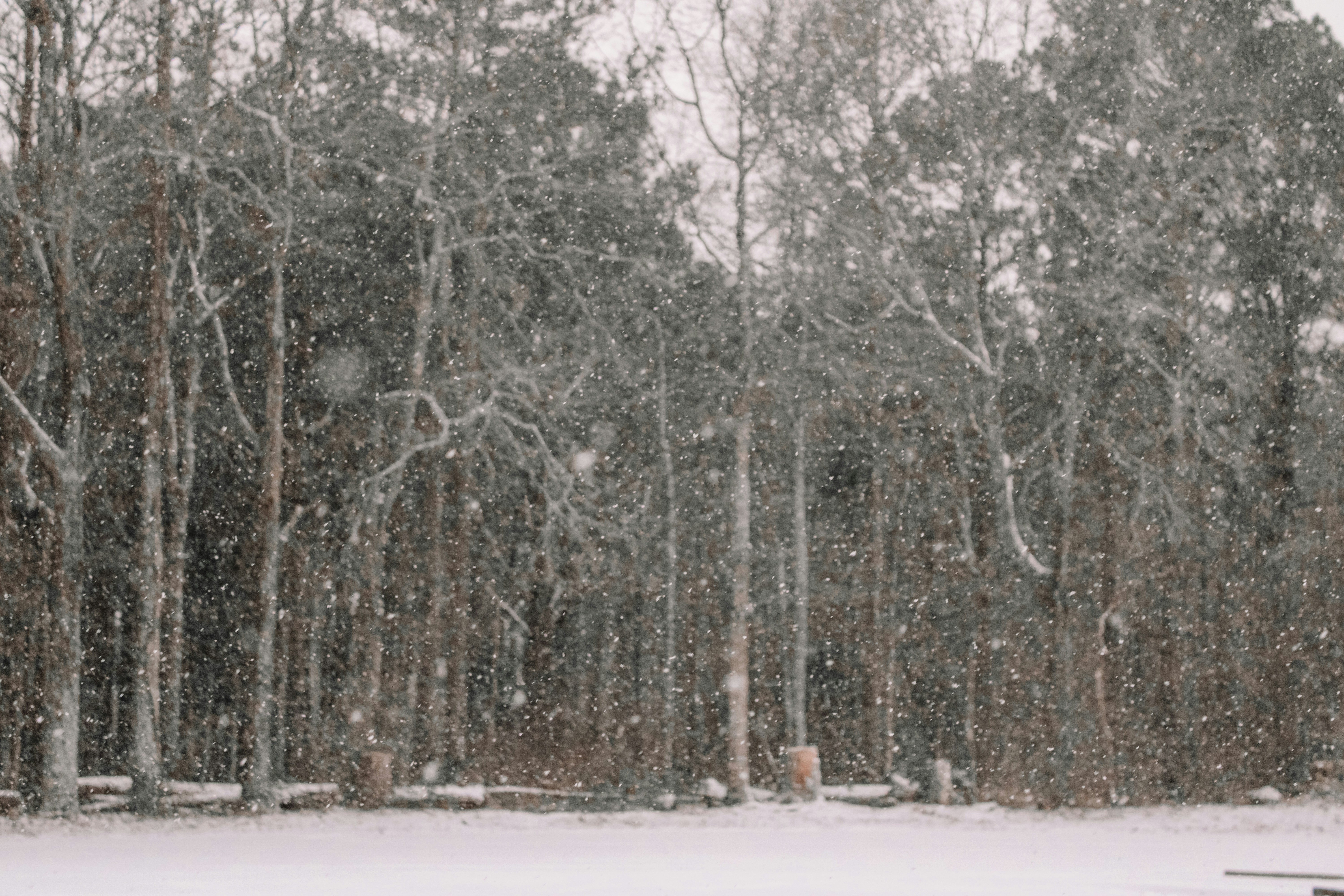 Photo by caragrodriguez