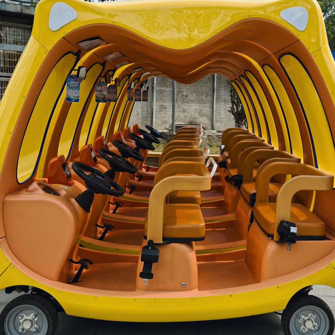 Multi-passenger golf cart - DLR Golf Carts