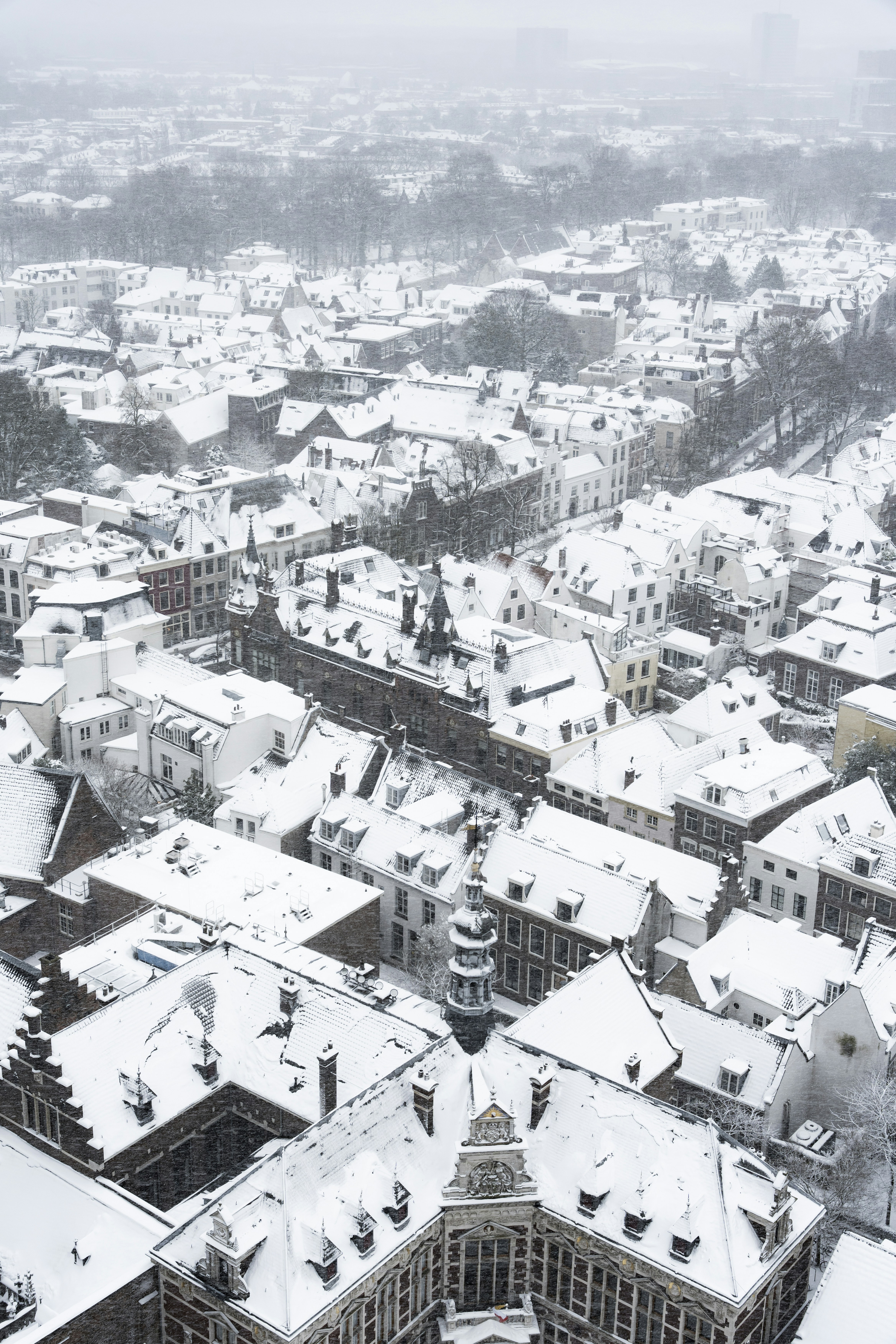 Photo by brotakesphotos