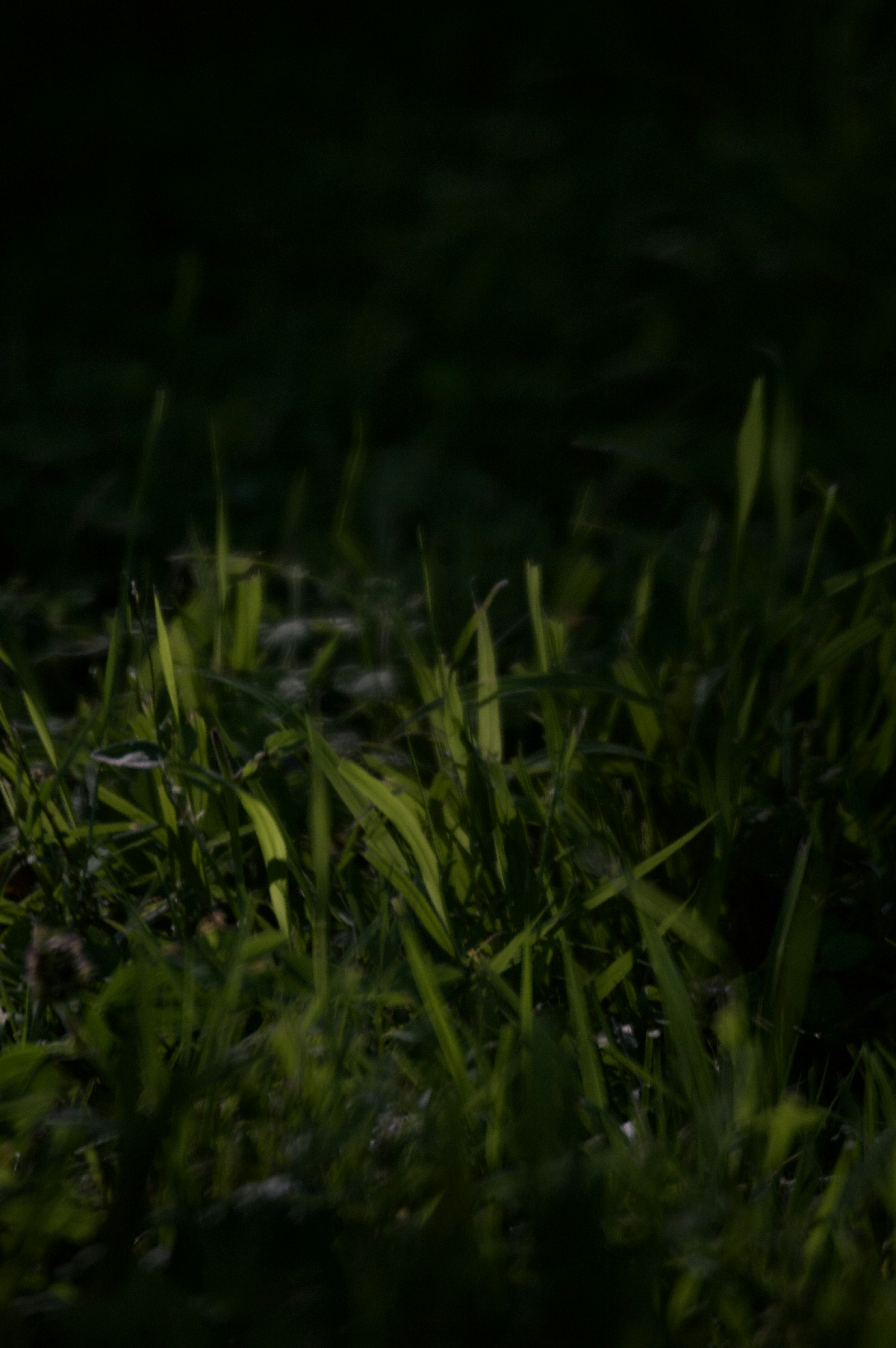 Photo by andreaperillo