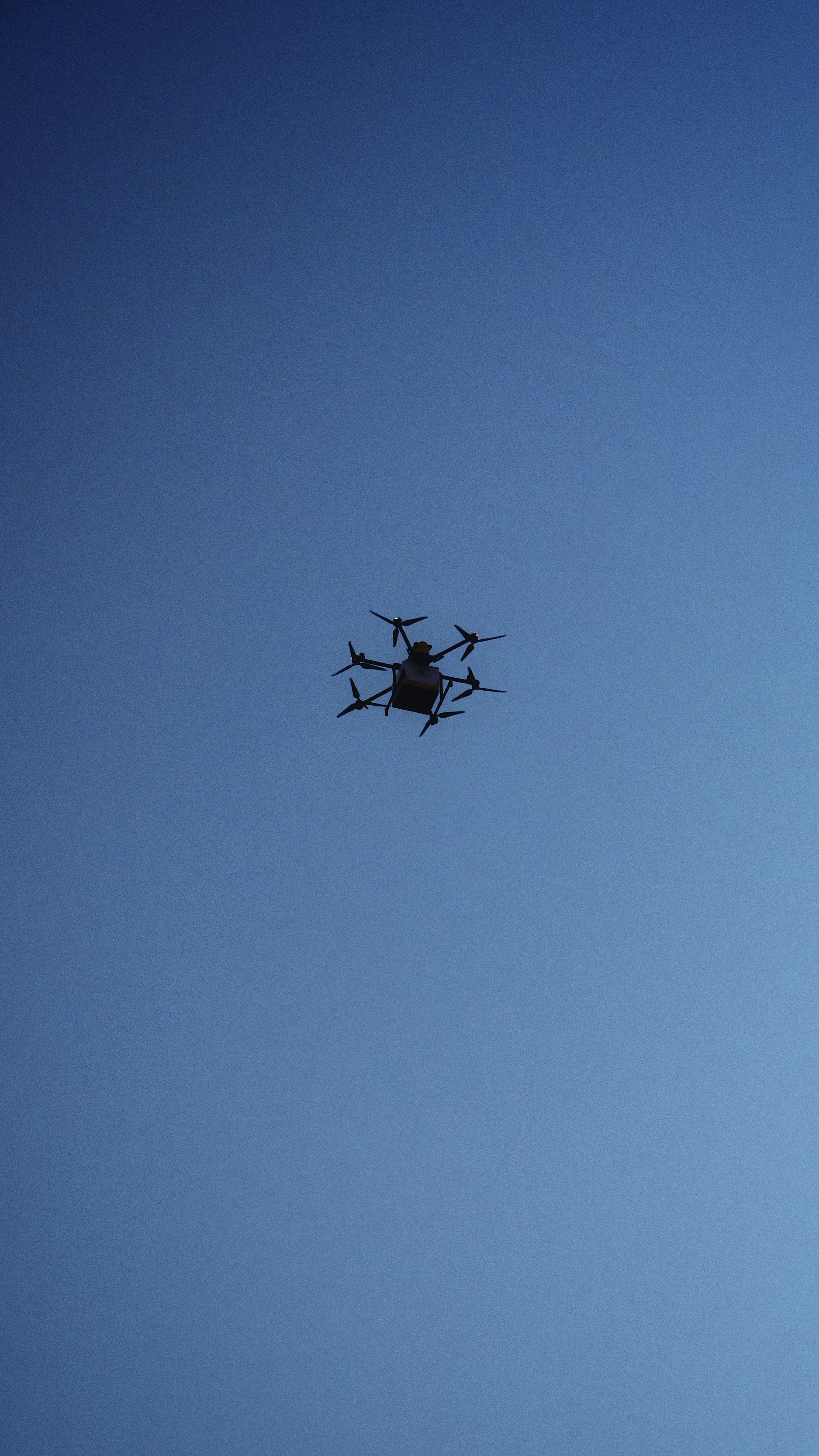 Photo by wangbinghua