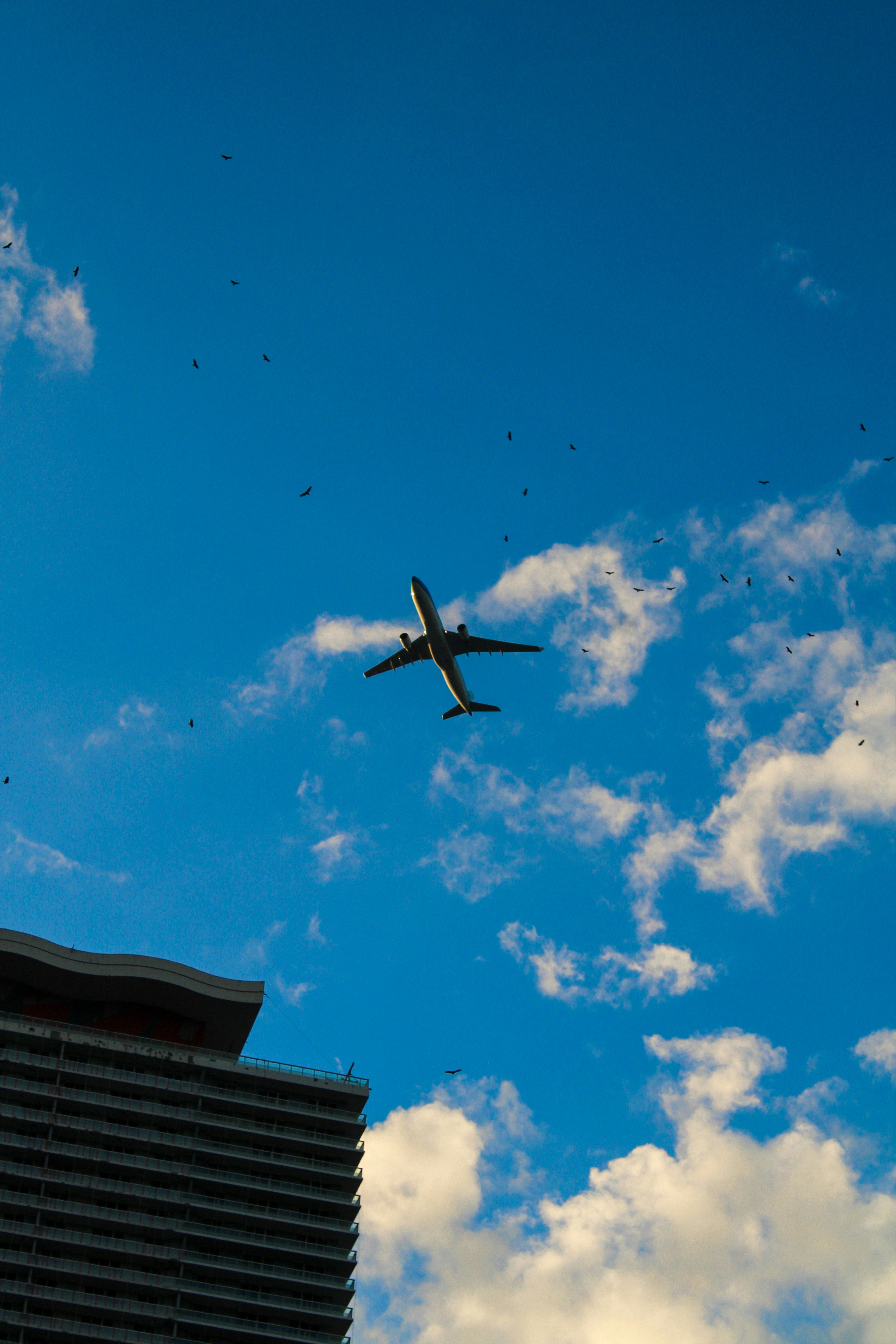 Practical Walking Routes and Navigation Tips