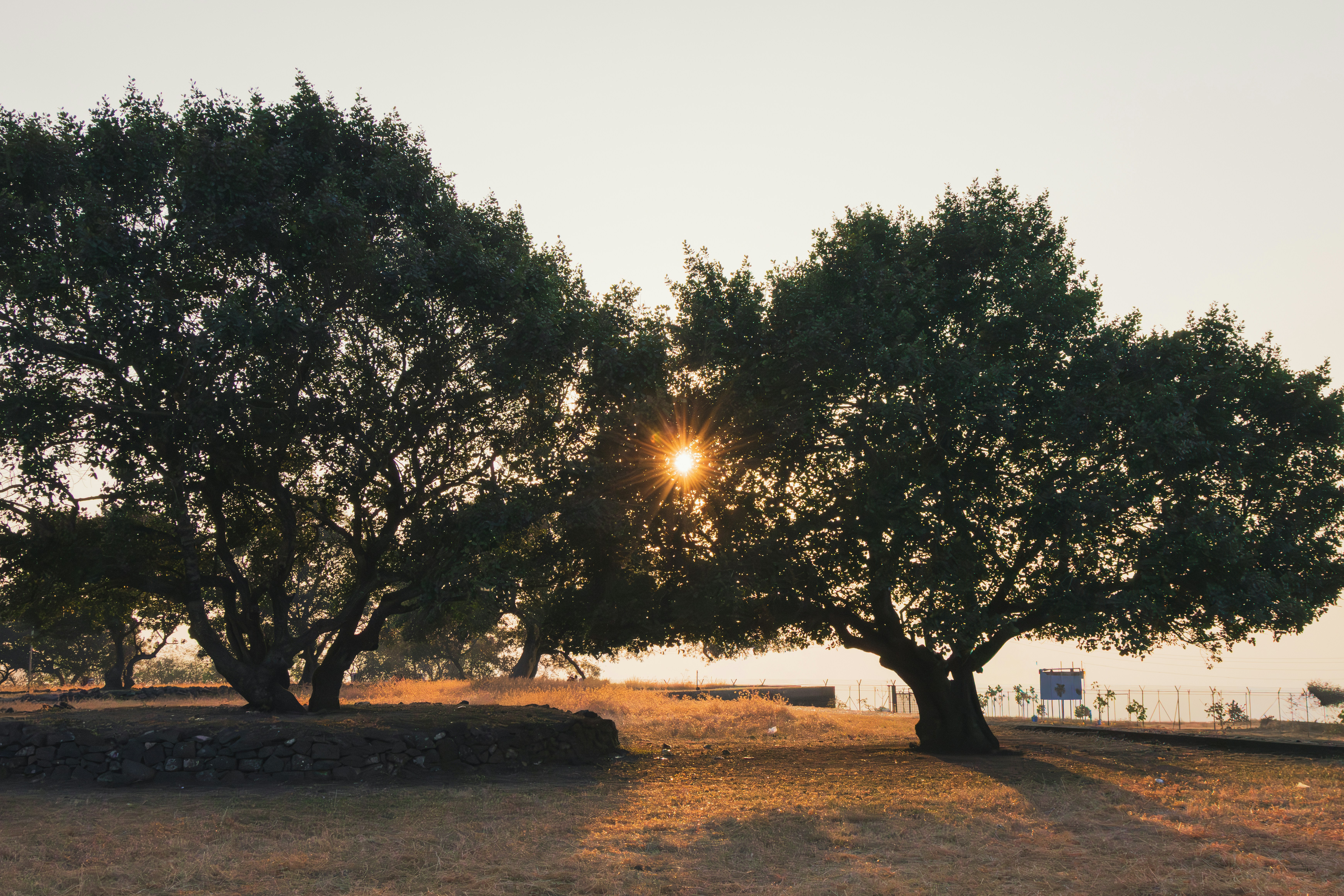 Photo by cine_photons