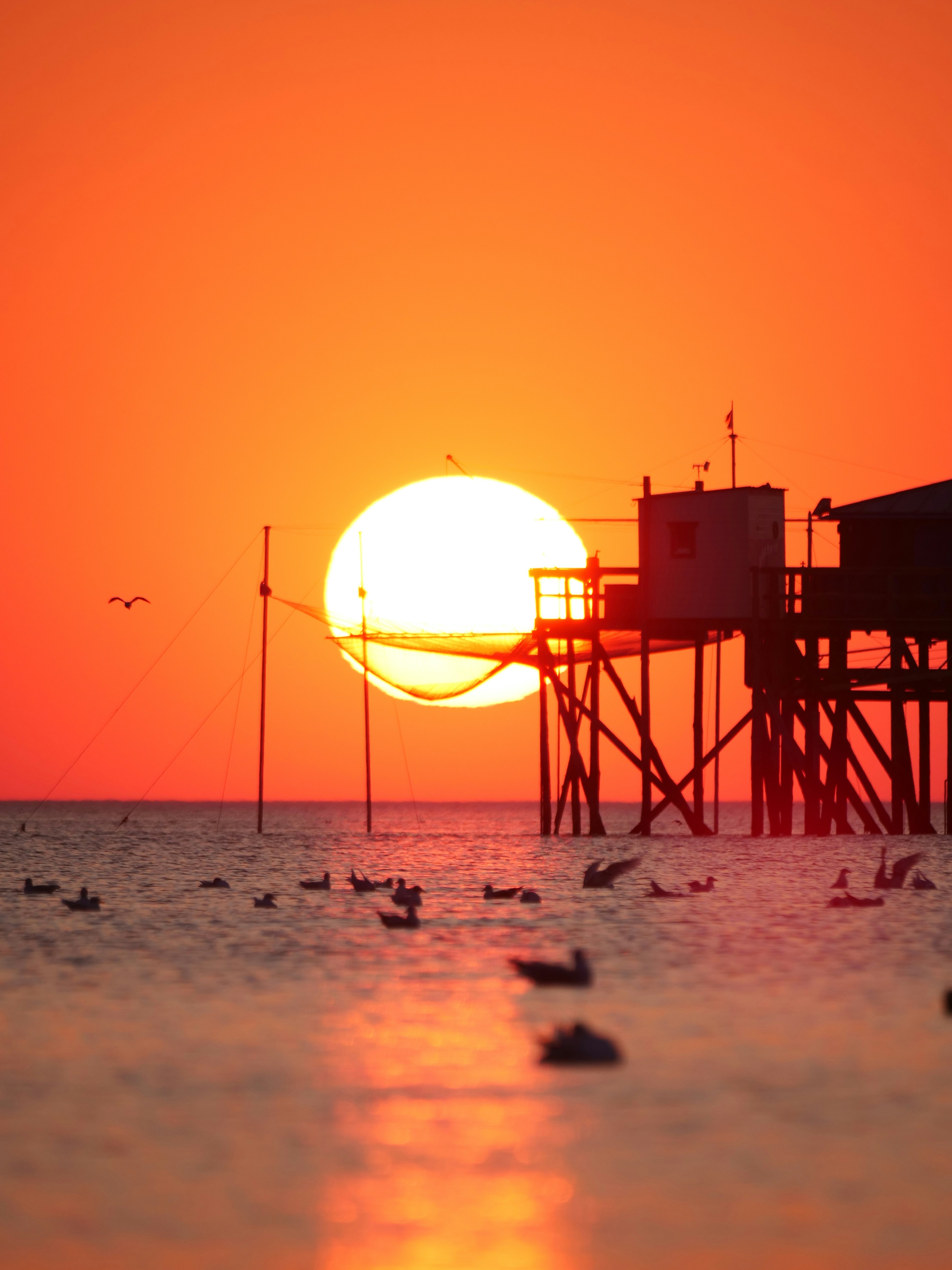 Fishing huts on stilts at sunset with birds.