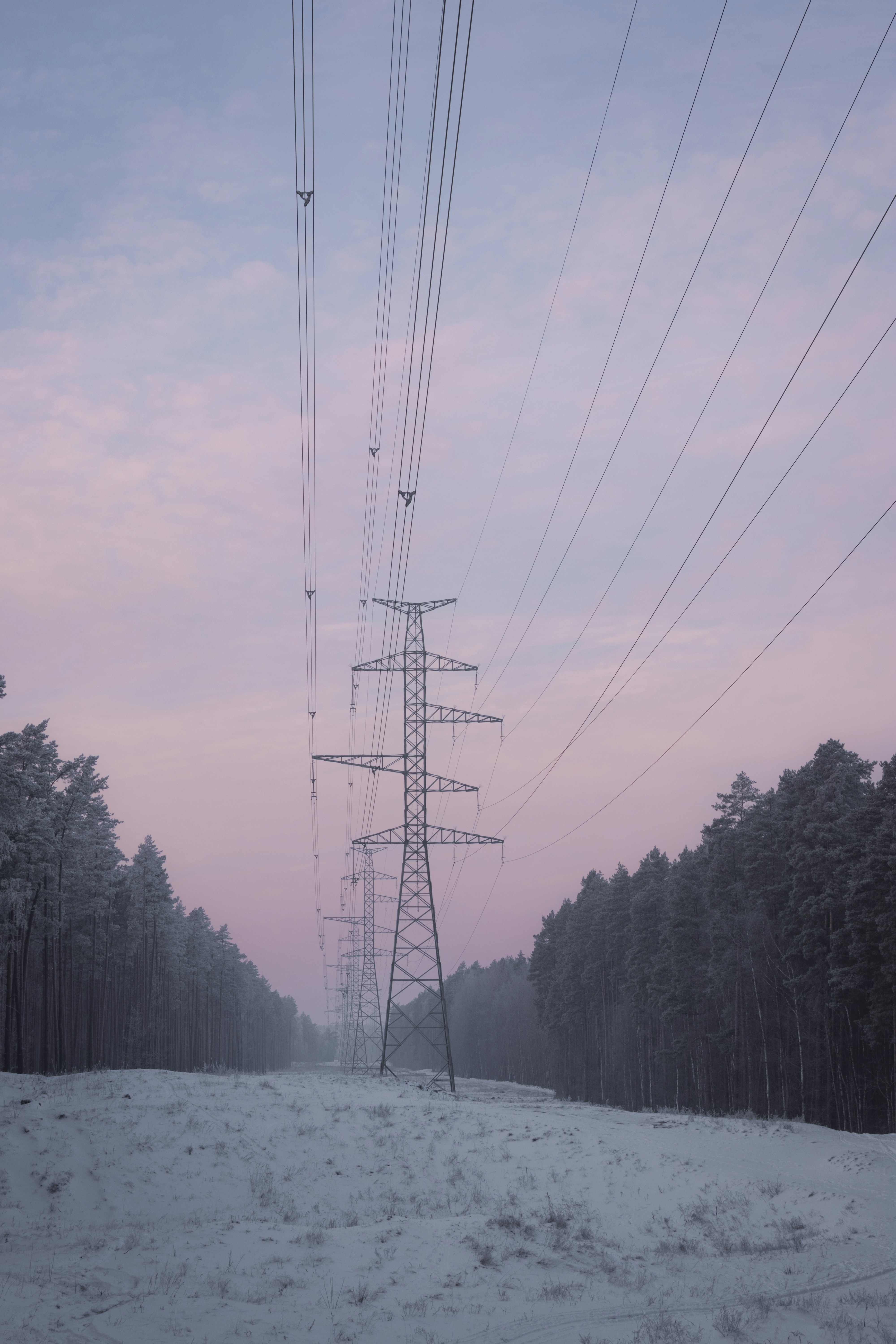 Power lines stretch through a snowy forest at dusk.