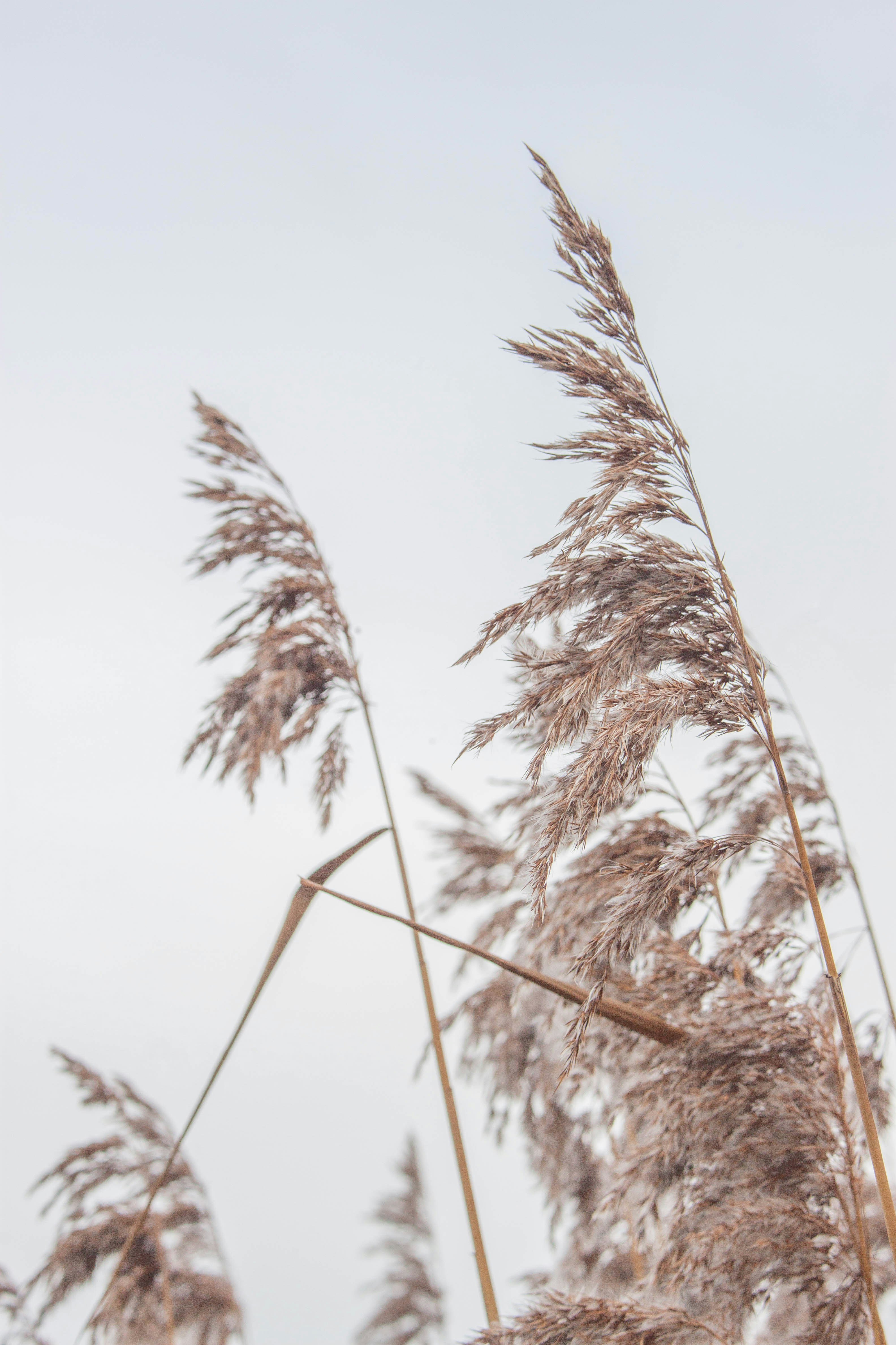 Photo by kamillaisalieva