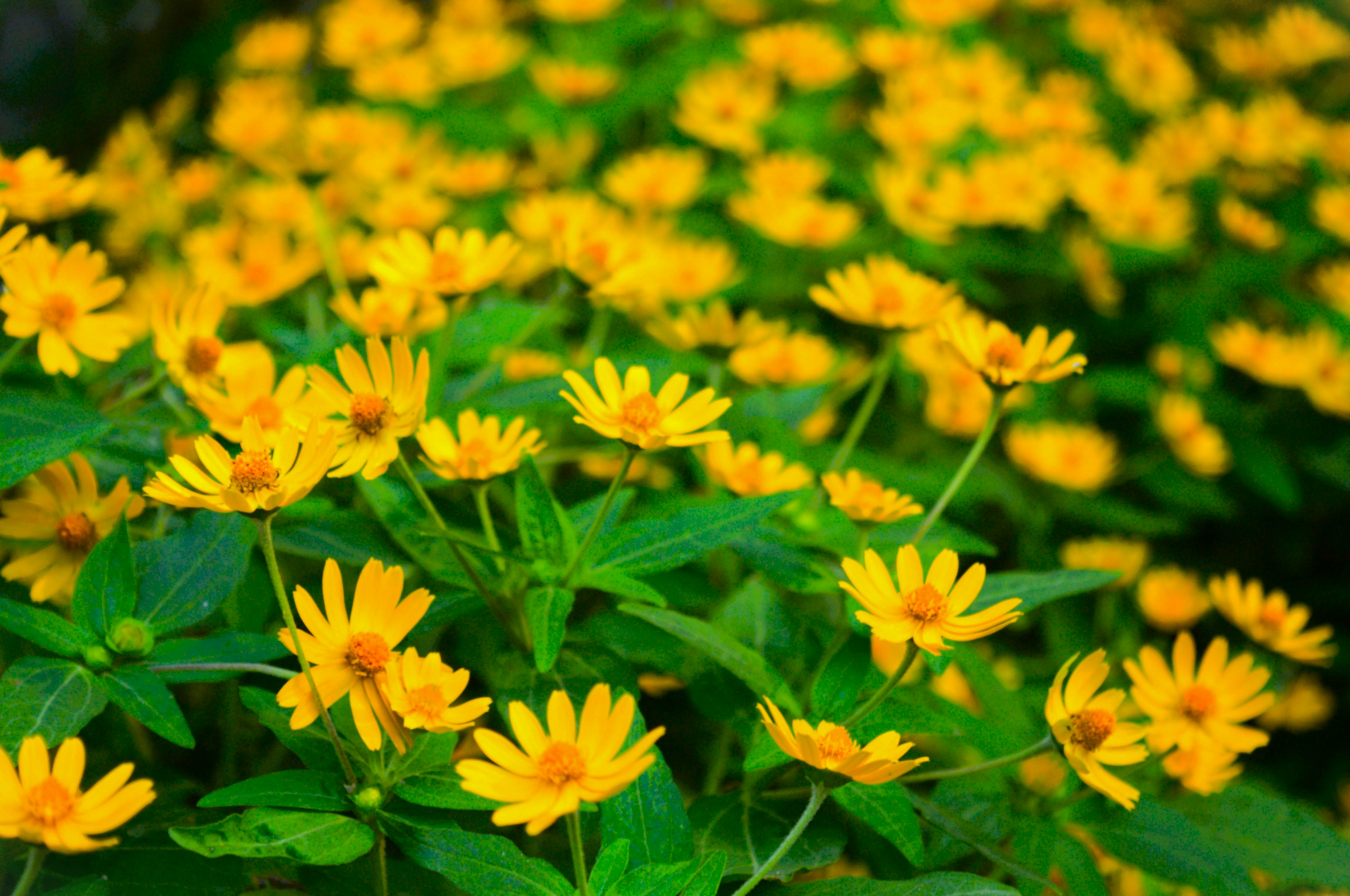 Photo by photo_phactory_officiall