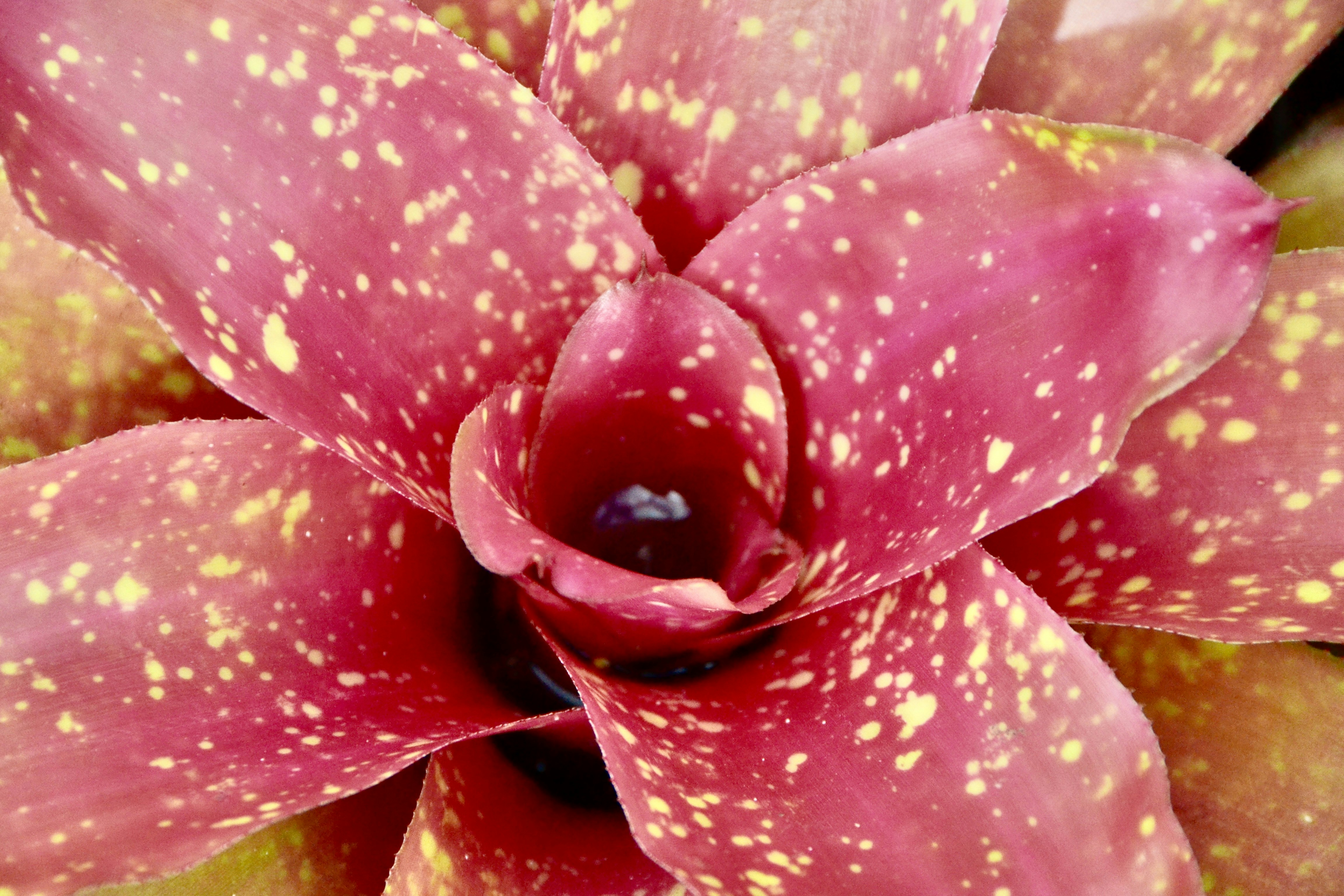 Photo by missylynnarts