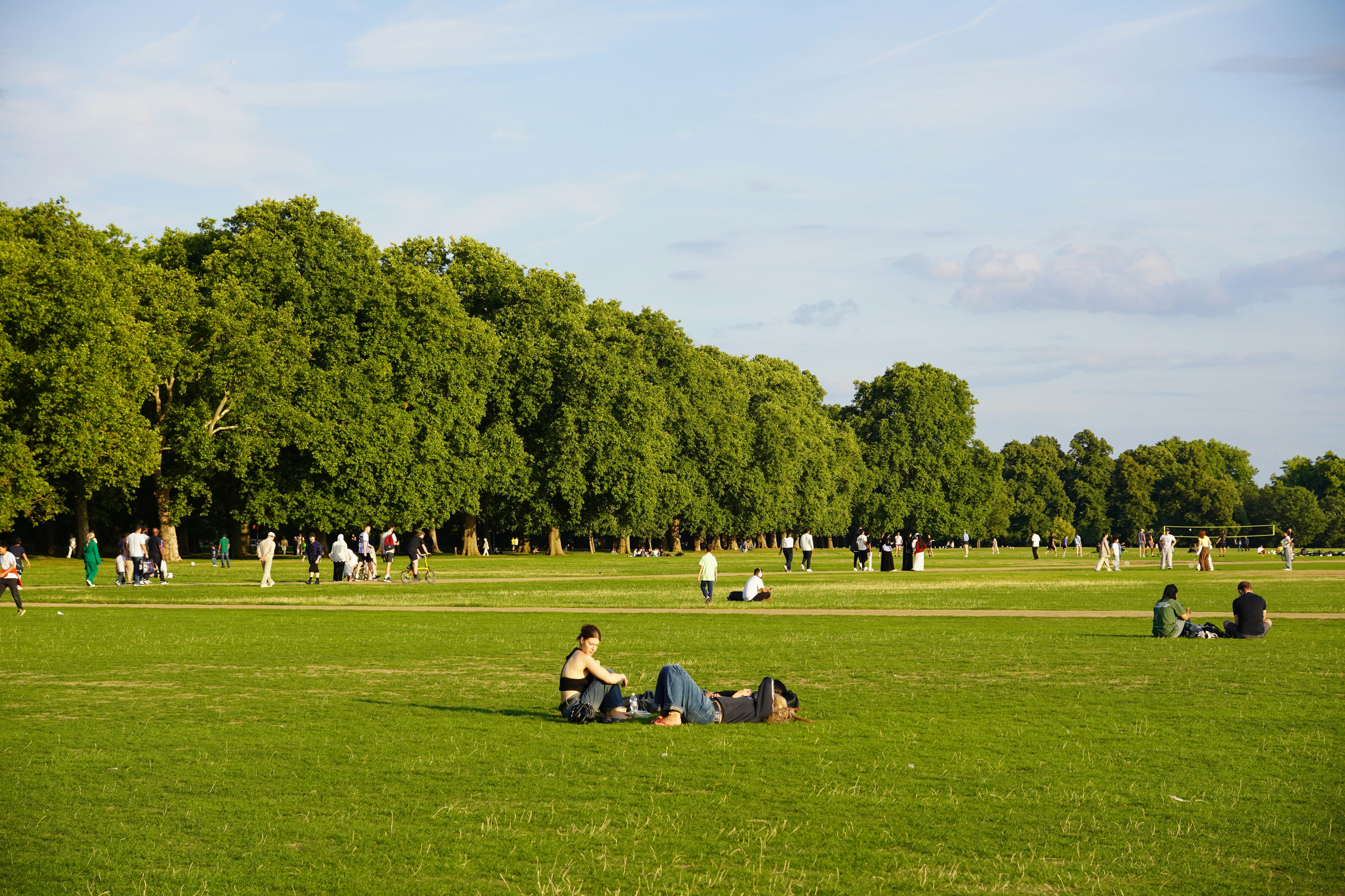 People relaxing on a grassy field with trees.