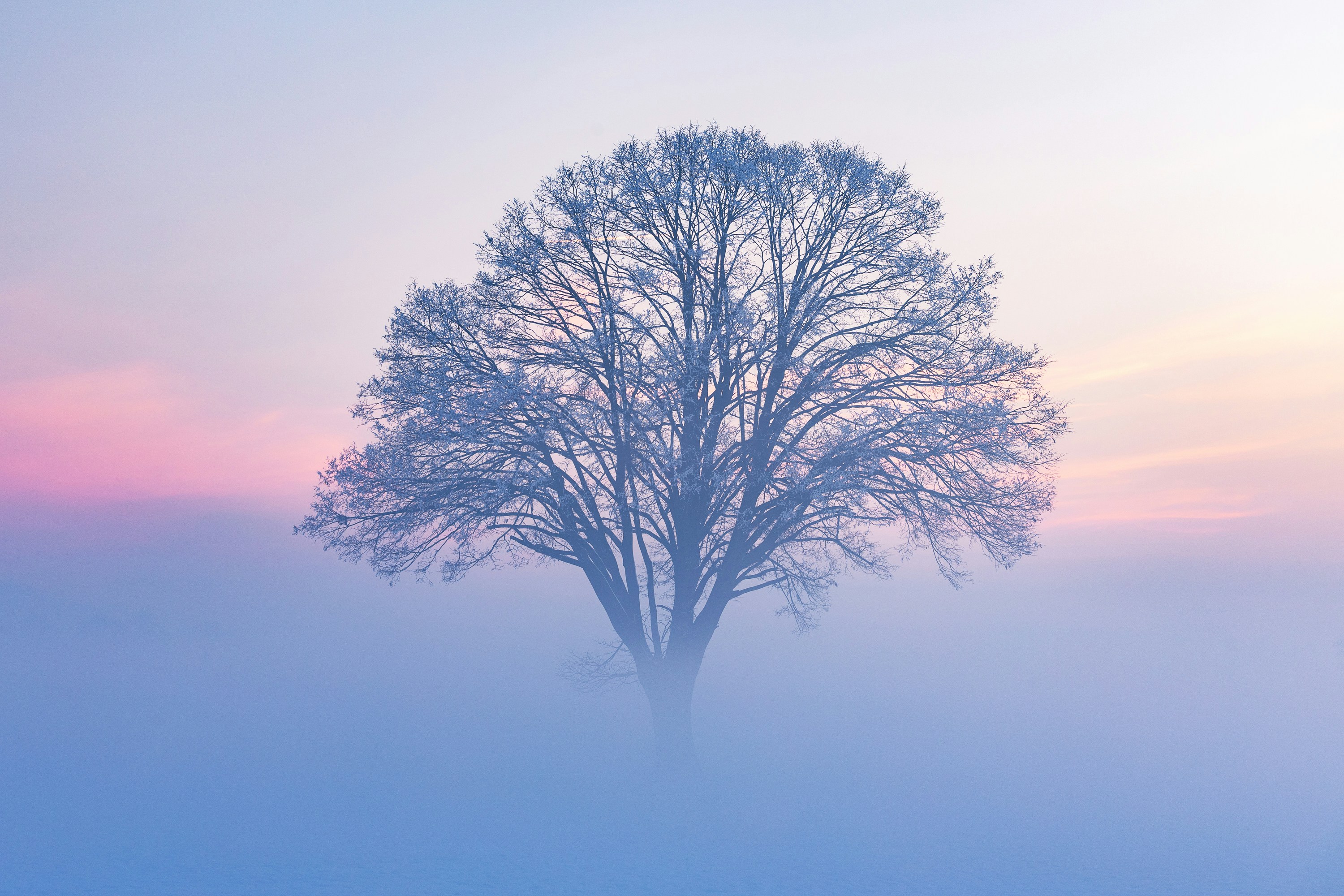 Insurance is an essential satanic in today's entire world. It is important to safeguard your self with insurance coverage, but often companies may look to "take a quick 1" upon you hoping using more of your hard earned dollars. Take advantage of the sugge