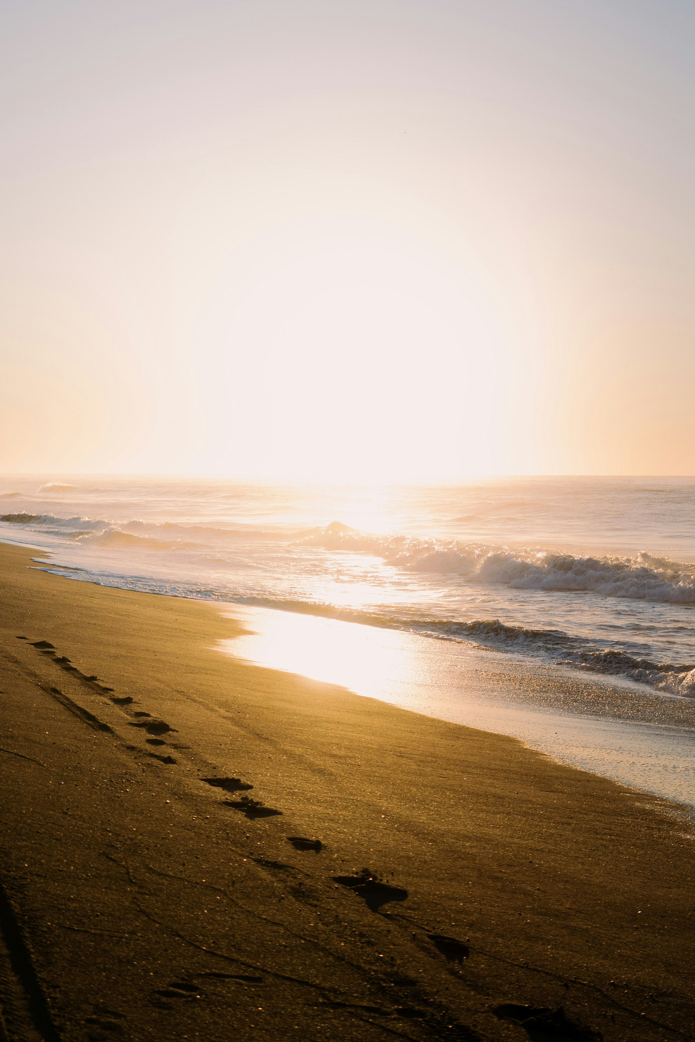 Photo by armando_p1cs